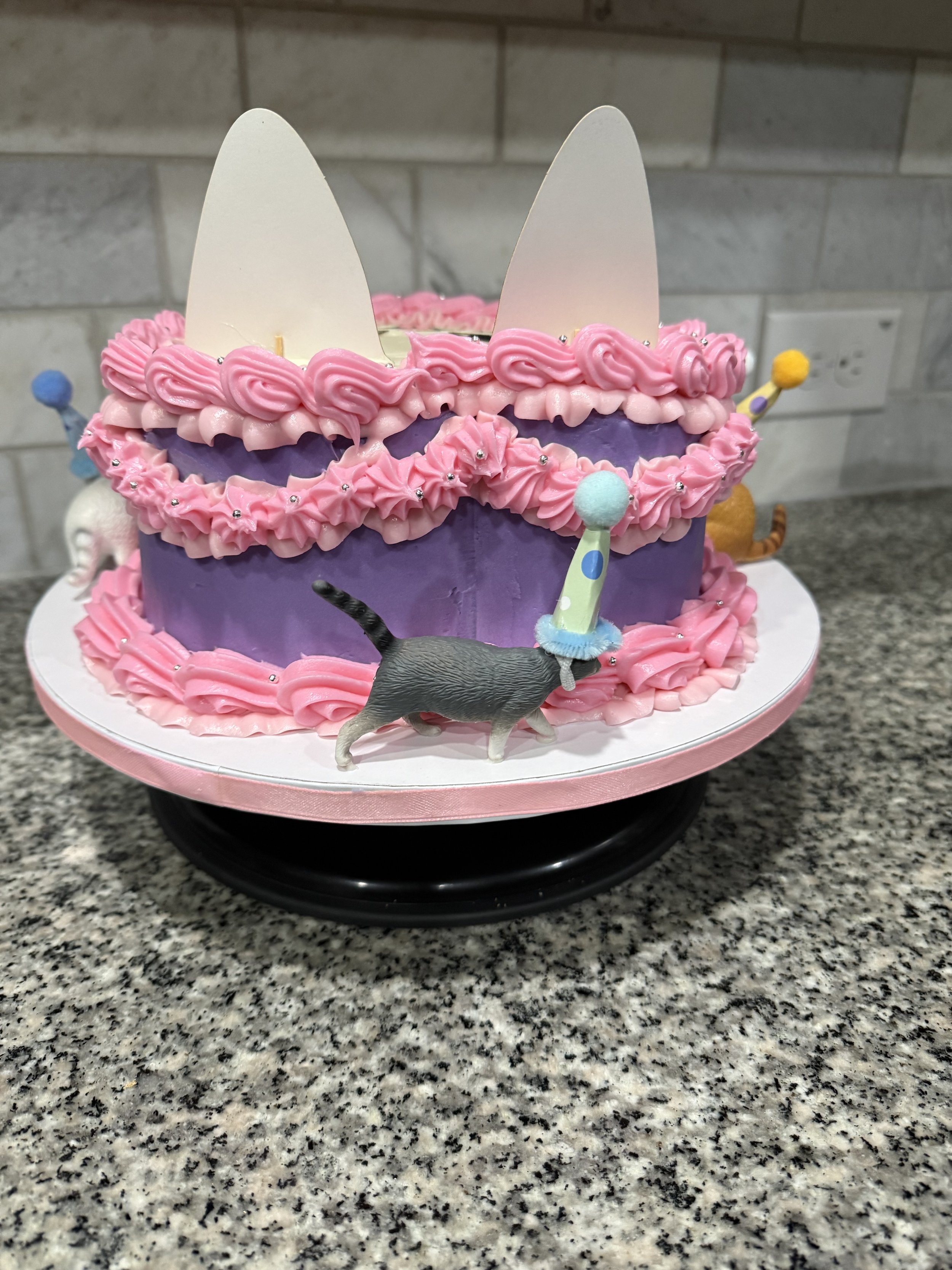 IMG_2309.jpeg