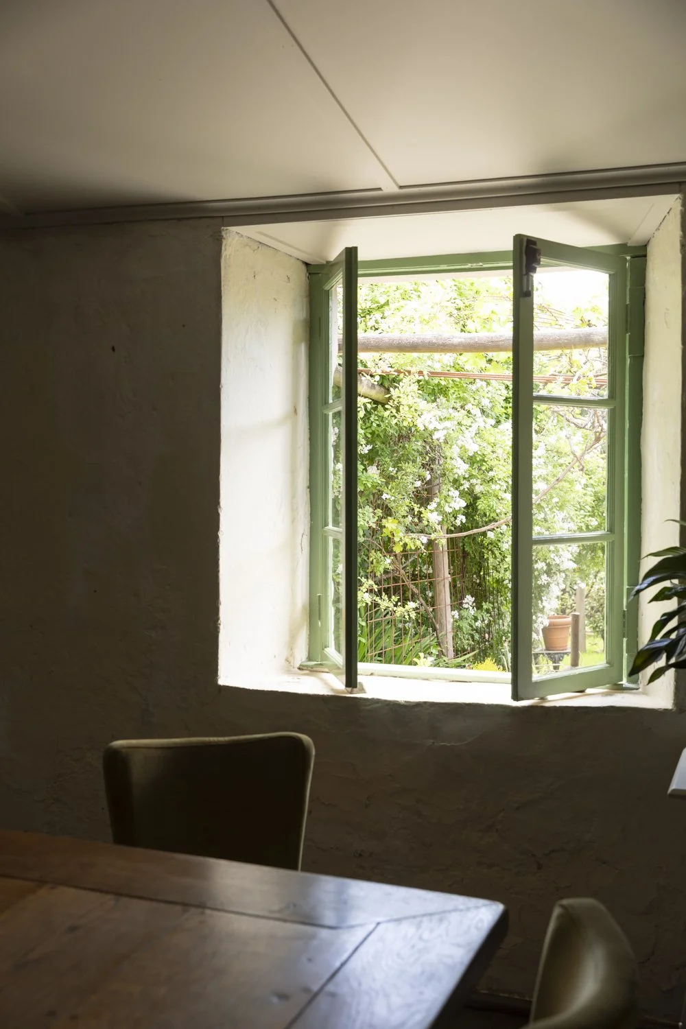 Galah_OldMacaroni_Galah_Hepburn2513_PROOFONLY.jpg