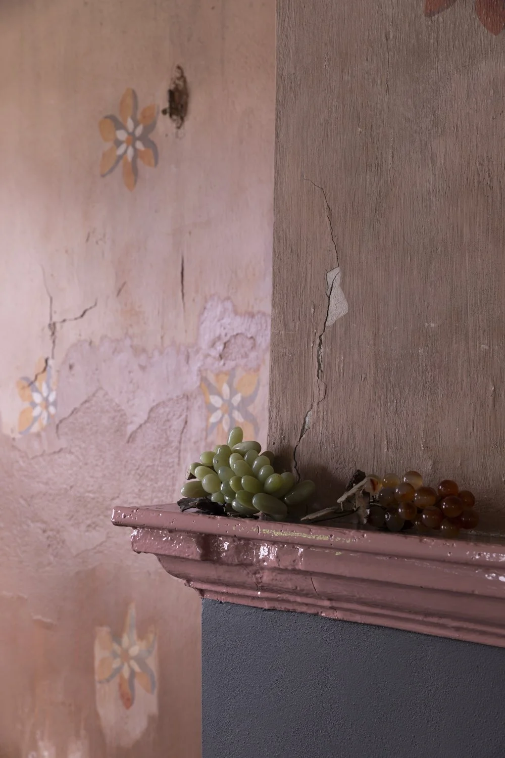 Galah_OldMacaroni_Galah_Hepburn2149.jpg