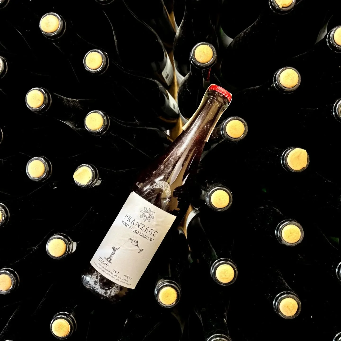 #frohwein zu Ostern... Die Flasche vom Martin werd ICH finden...

Letztes Jahr extrem nett empfangen worden zum Al dente Fest in Bozen/ Bolzano 

Immer wieder lustig mit euch😉 bei @sansmerde.naturweinamgralhof am @gralhof.dasbiohotel

Freu mich auf 