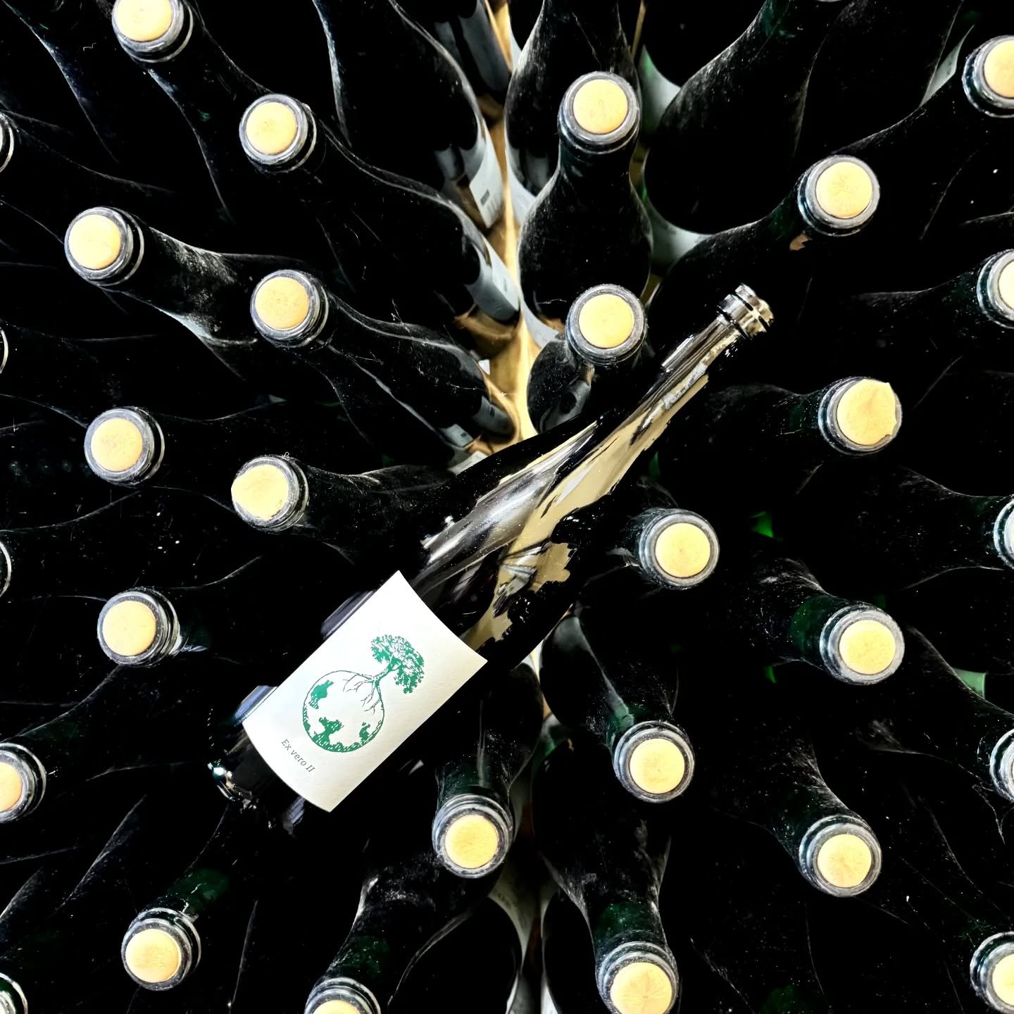 #frohwein mit dem #werlitsch am Wochenende 

Brigitte und Ewald. Gro&szlig;e Unterst&uuml;tzung. Immer da wenn man was braucht. Danke. 

Und Kiki trinkt Werlitsch auch immer gerne 😉, ihr wisst was das hei&szlig;t....

@schmeckedasleben 

Harti die E