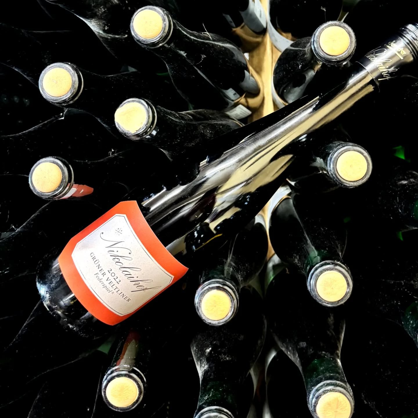 Nach der Prowein ist es Zeit f&uuml;r #frohwein

Ohne @saahsnikolaus vom @nikolaihofwachau w&uuml;rde es den Rebenhof und mich heute nicht biodynamisch geben...

Geh&ouml;rt mal gesagt und auch getrunken!
www.nikolaihof.at

Danke dir mein Freund 

Ha