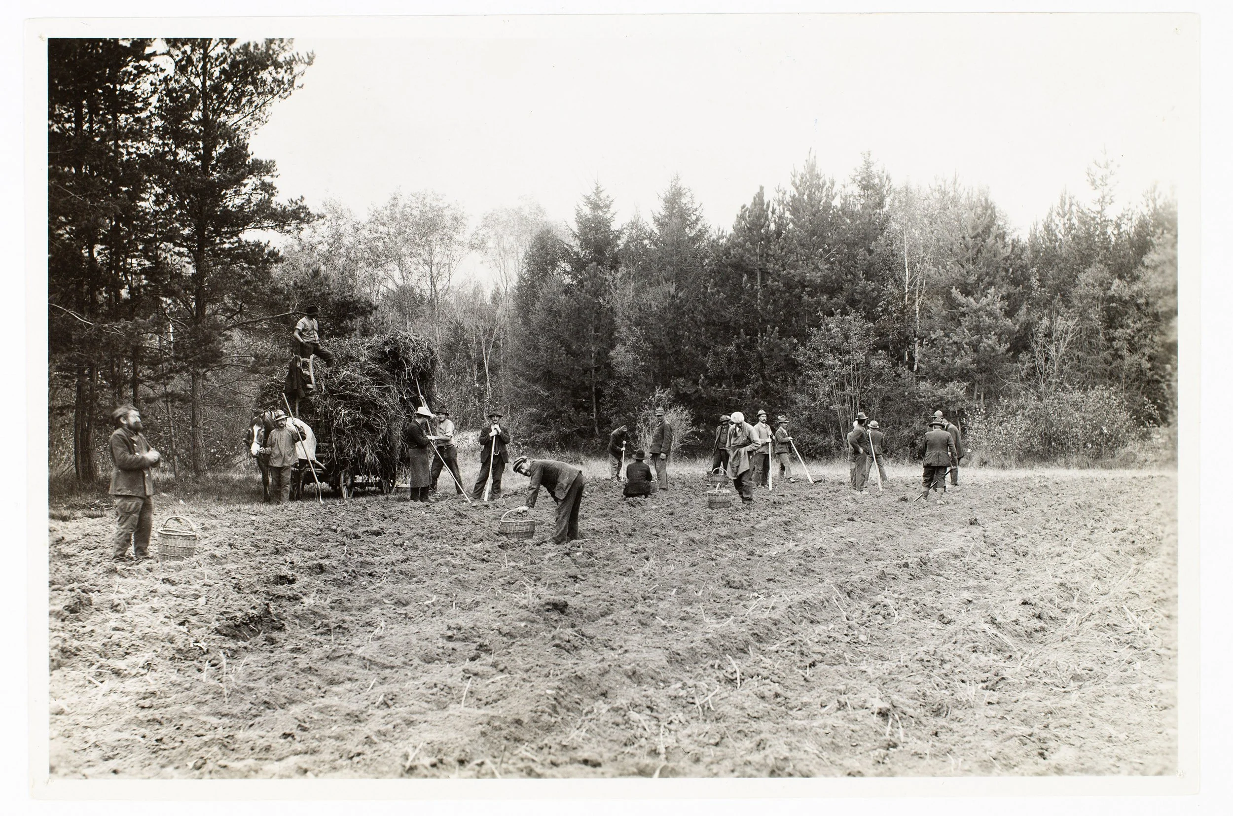 Arbeitsanstalt Realta