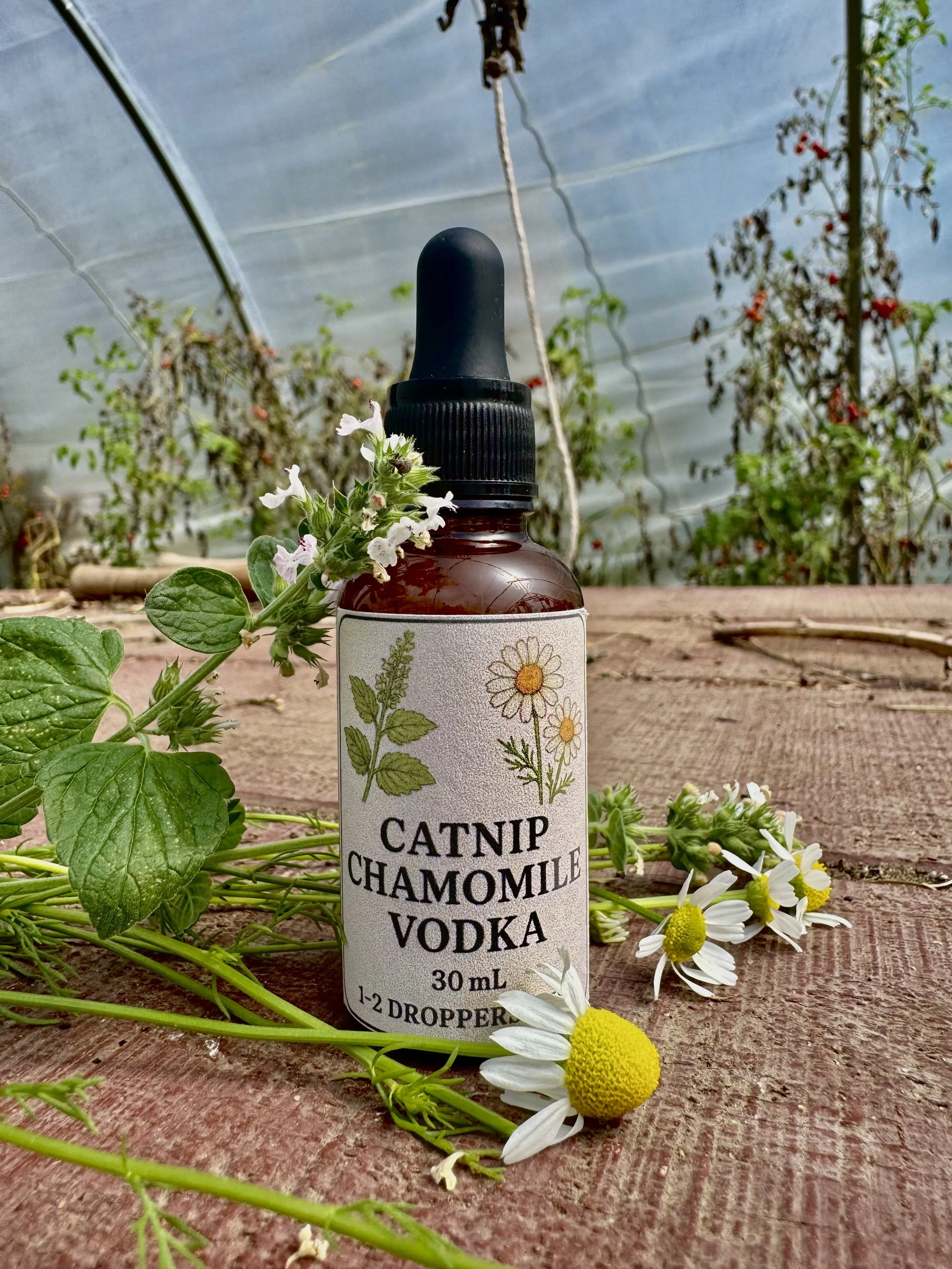 Catnip Chamomile Tincture