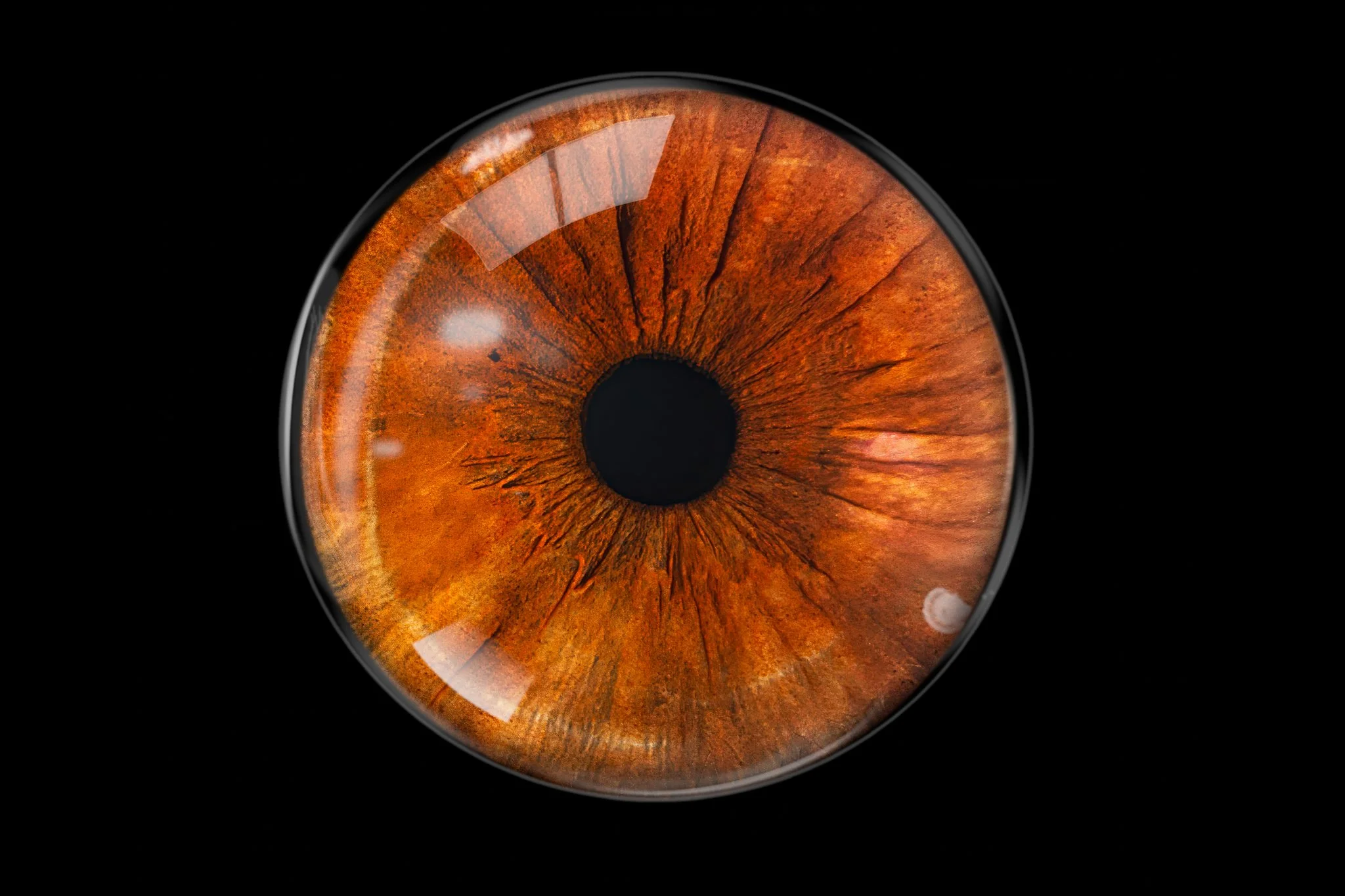 Brown-iris-with-glass-overlay.jpg
