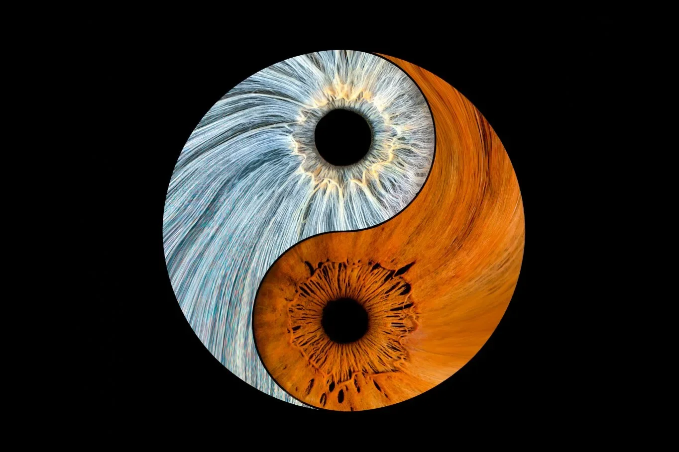 Harmonic Flow