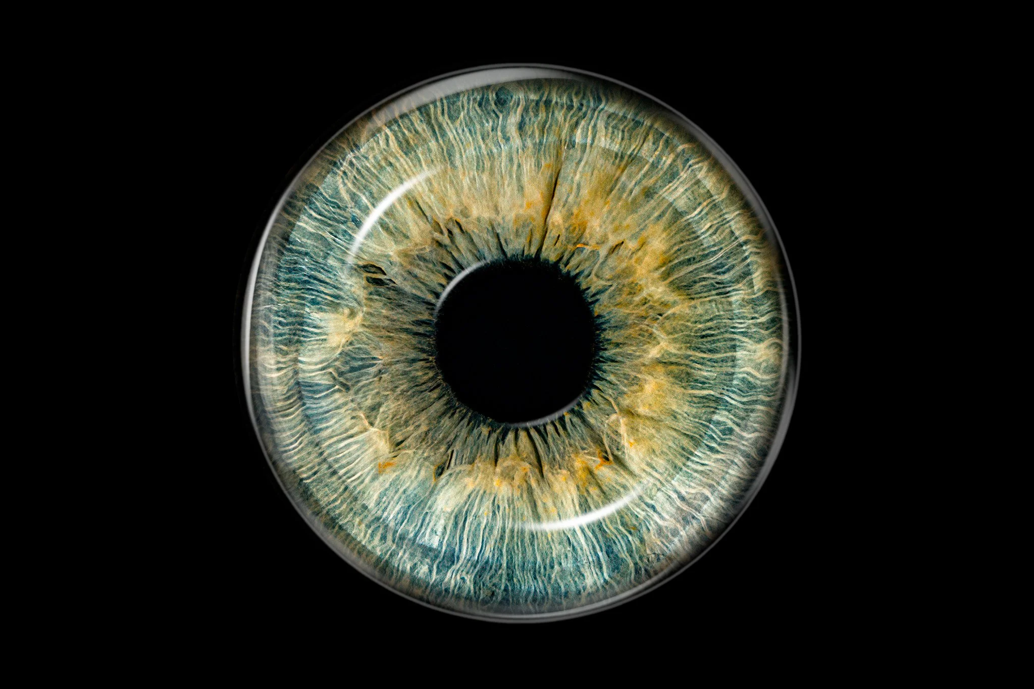 green-iris-with-glass-overlay.jpg