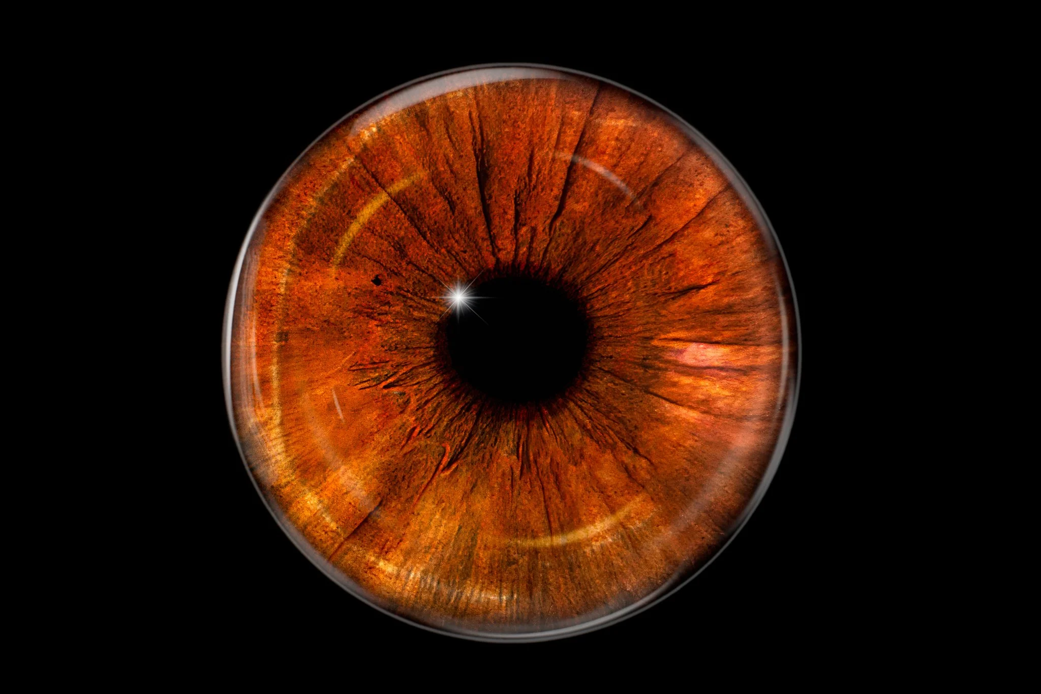 Close-up of a brown human eye iris with intricate details and reflections, set against a black background.