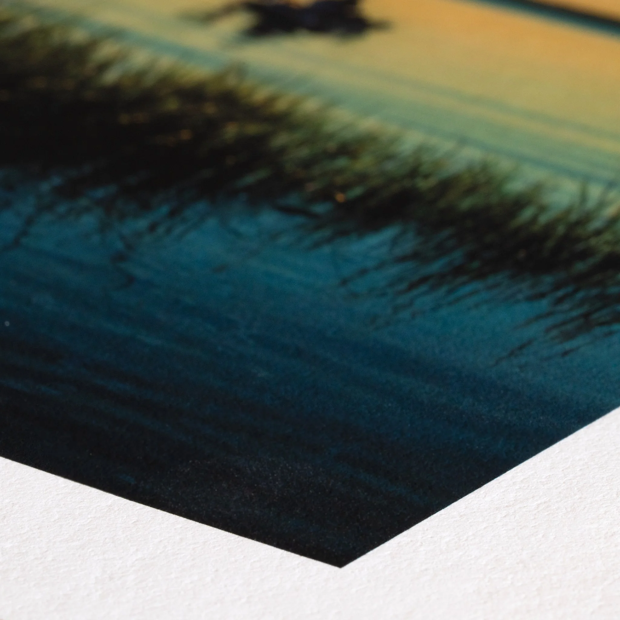 close up of photo print on archival quality paper