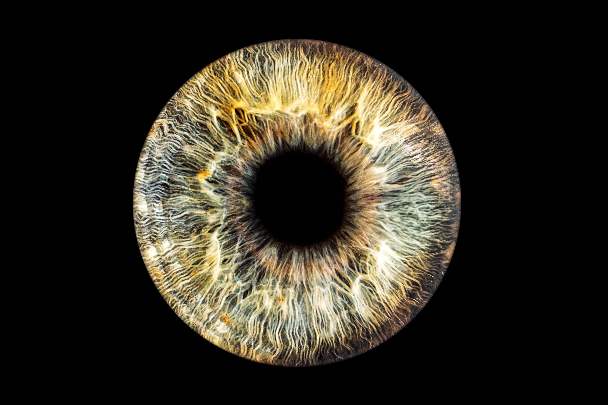 dark-green-iris.jpg