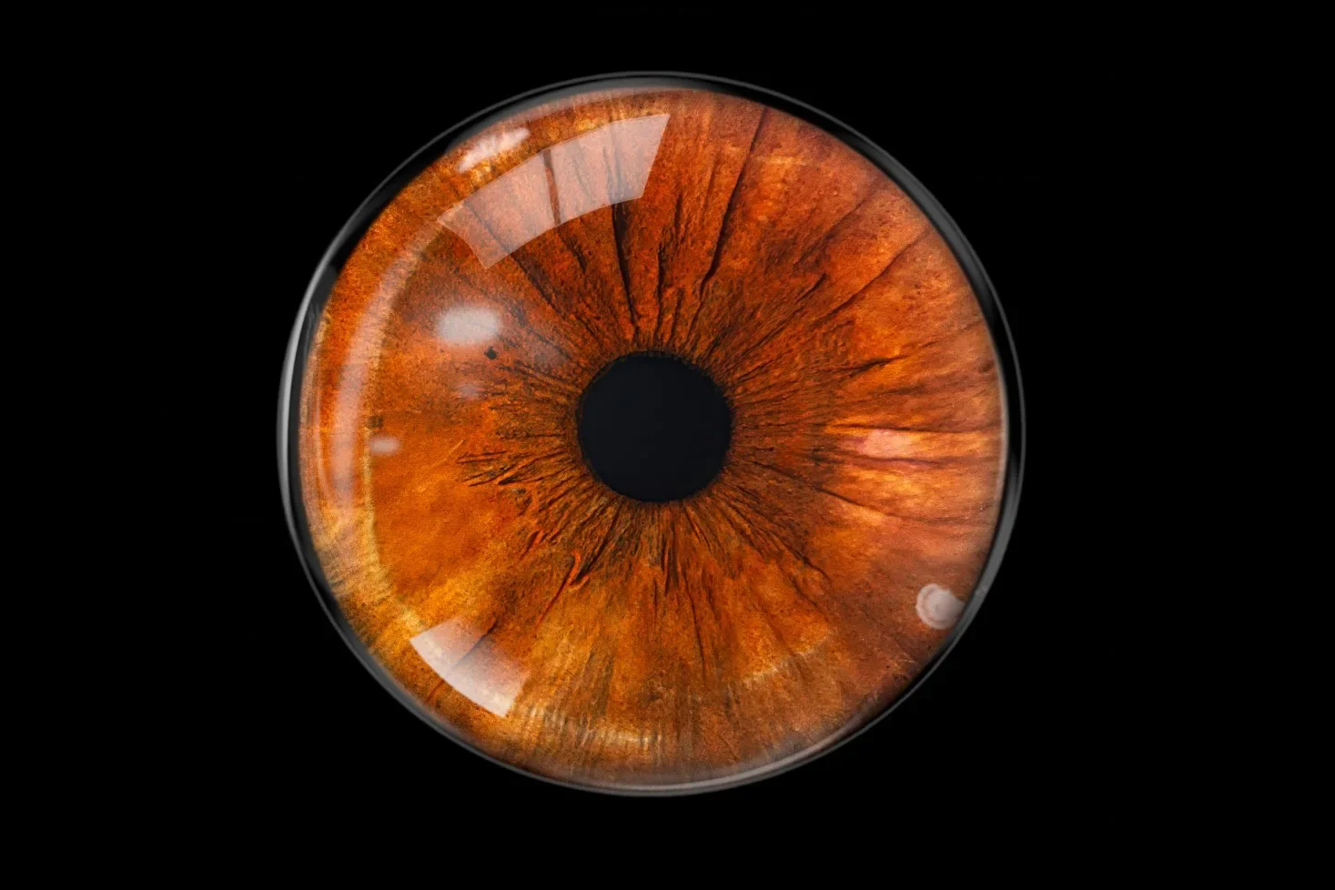 Glass Overlay