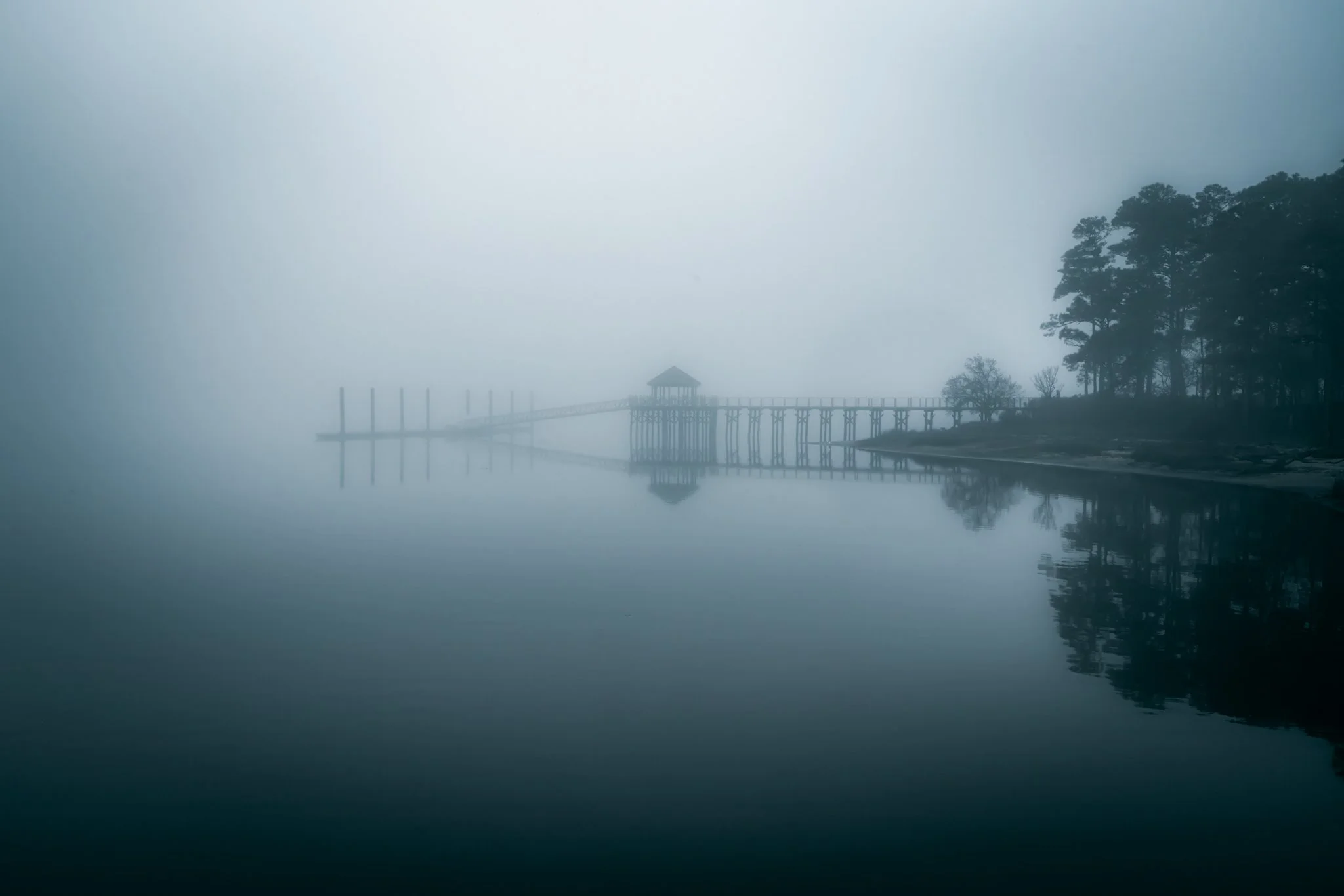 2026-03 Foggy Morning-55-Edit.jpg