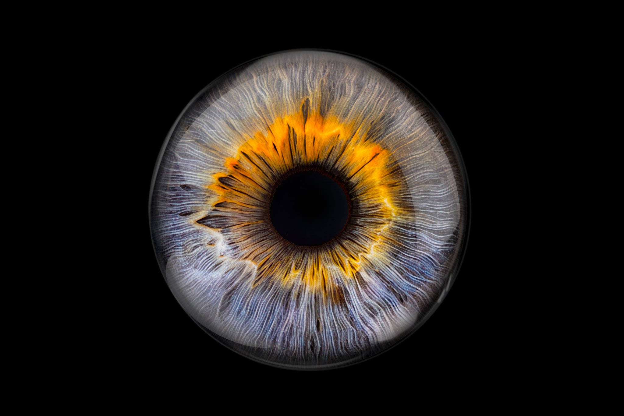 Blue-and-yellow-iris-with-glass-overlay.jpg