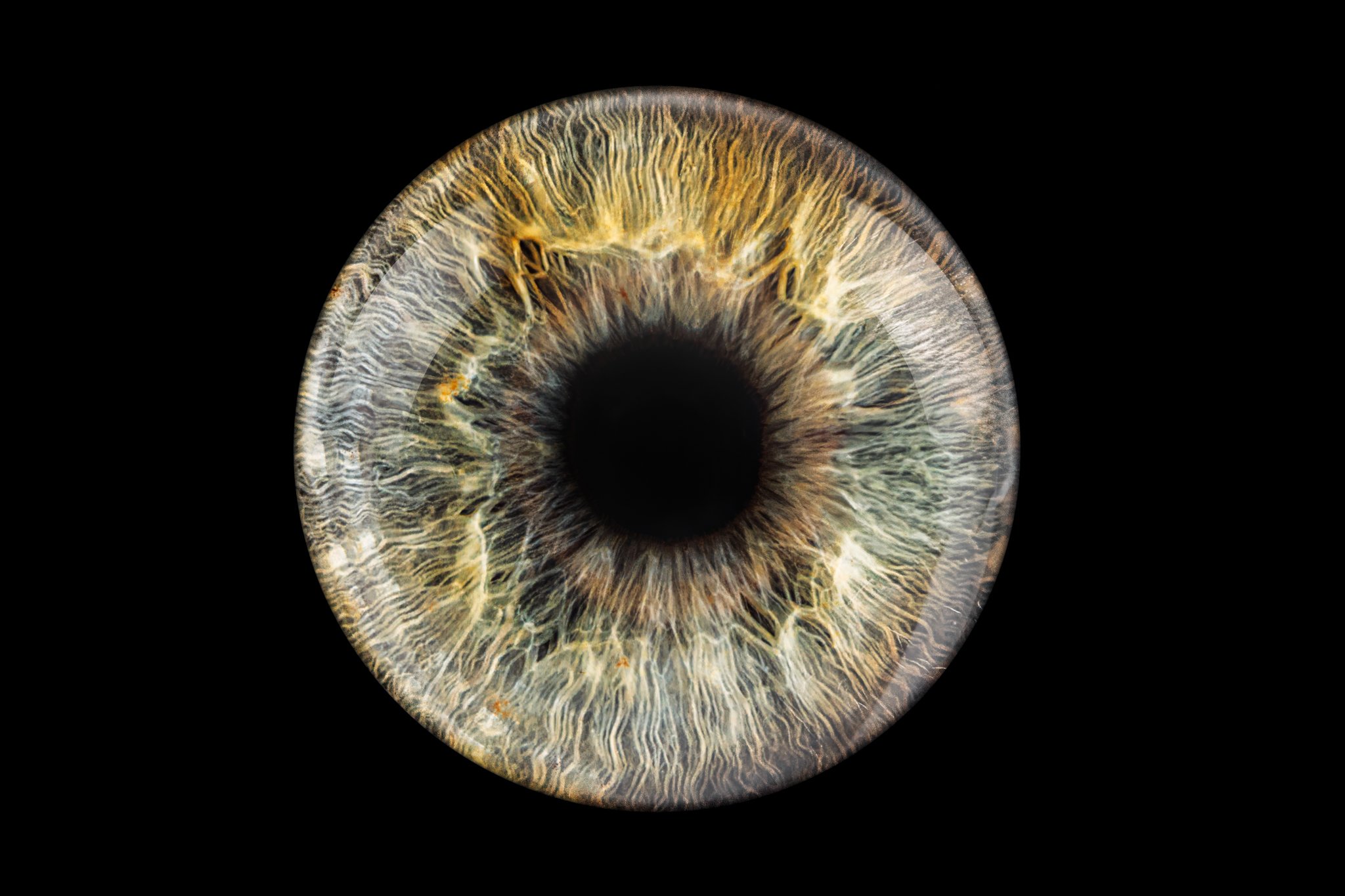 green-iris-with-light-overlay.jpg