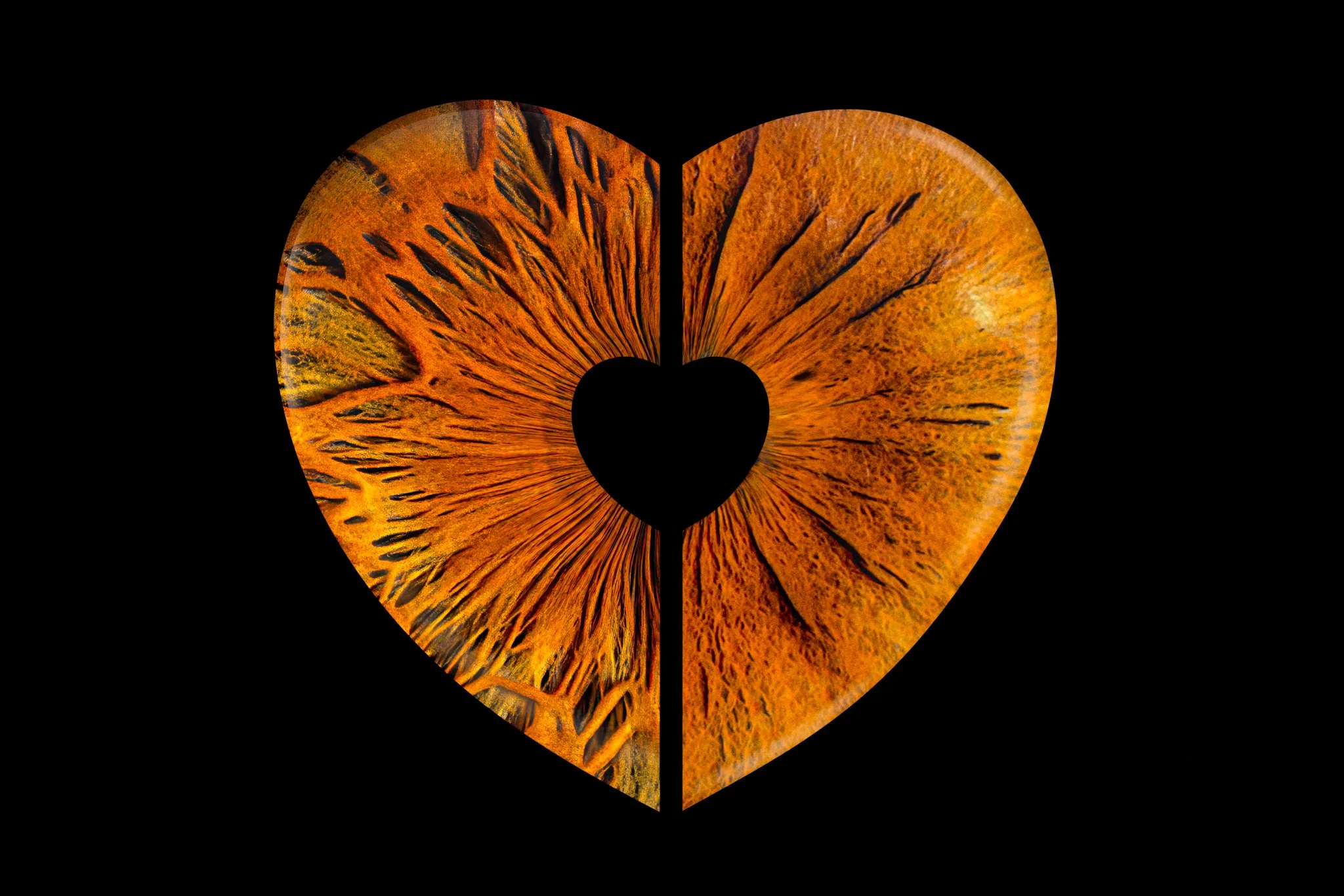 Two Eyes, One Heart