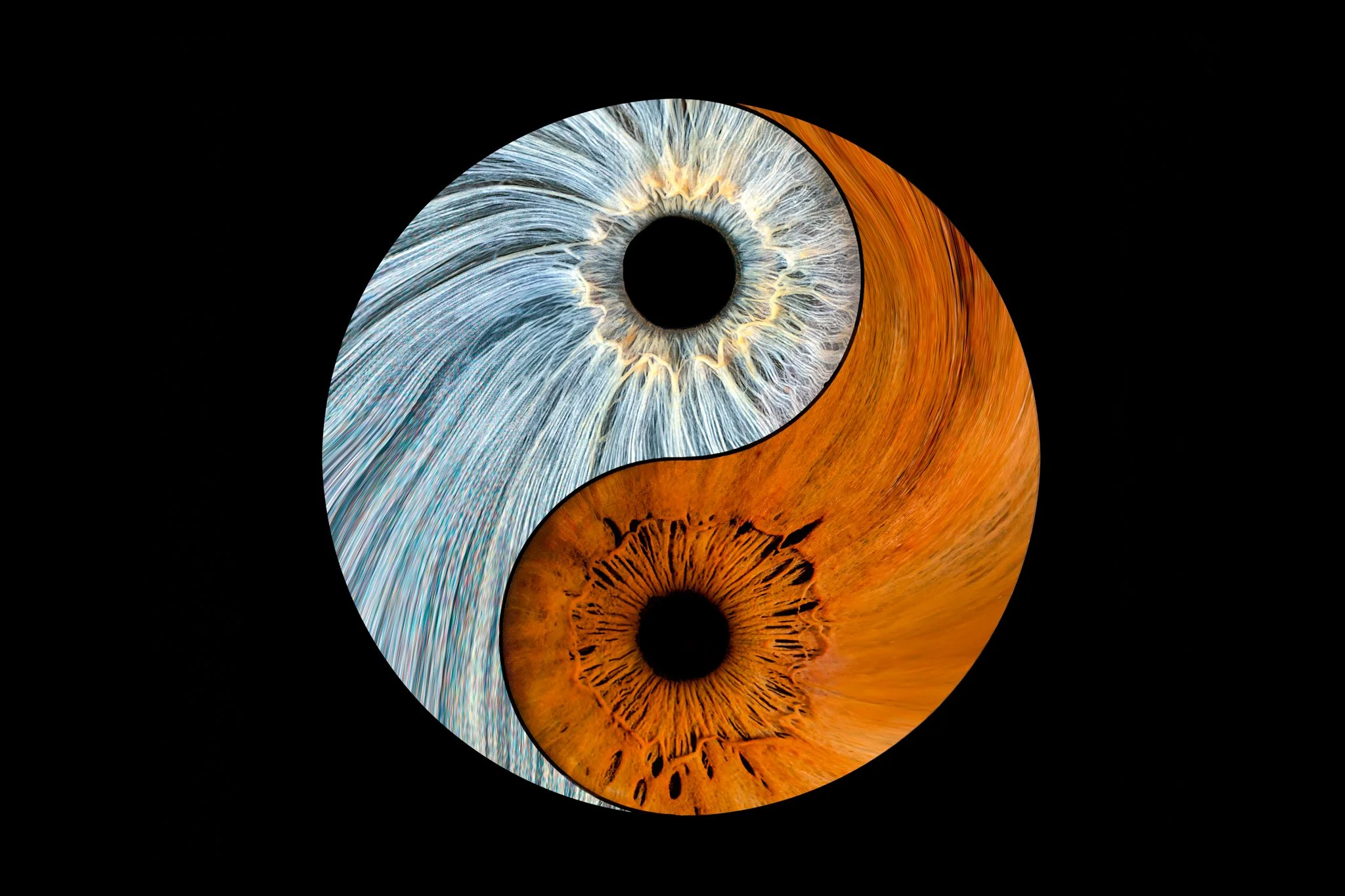 Harmonic Flow