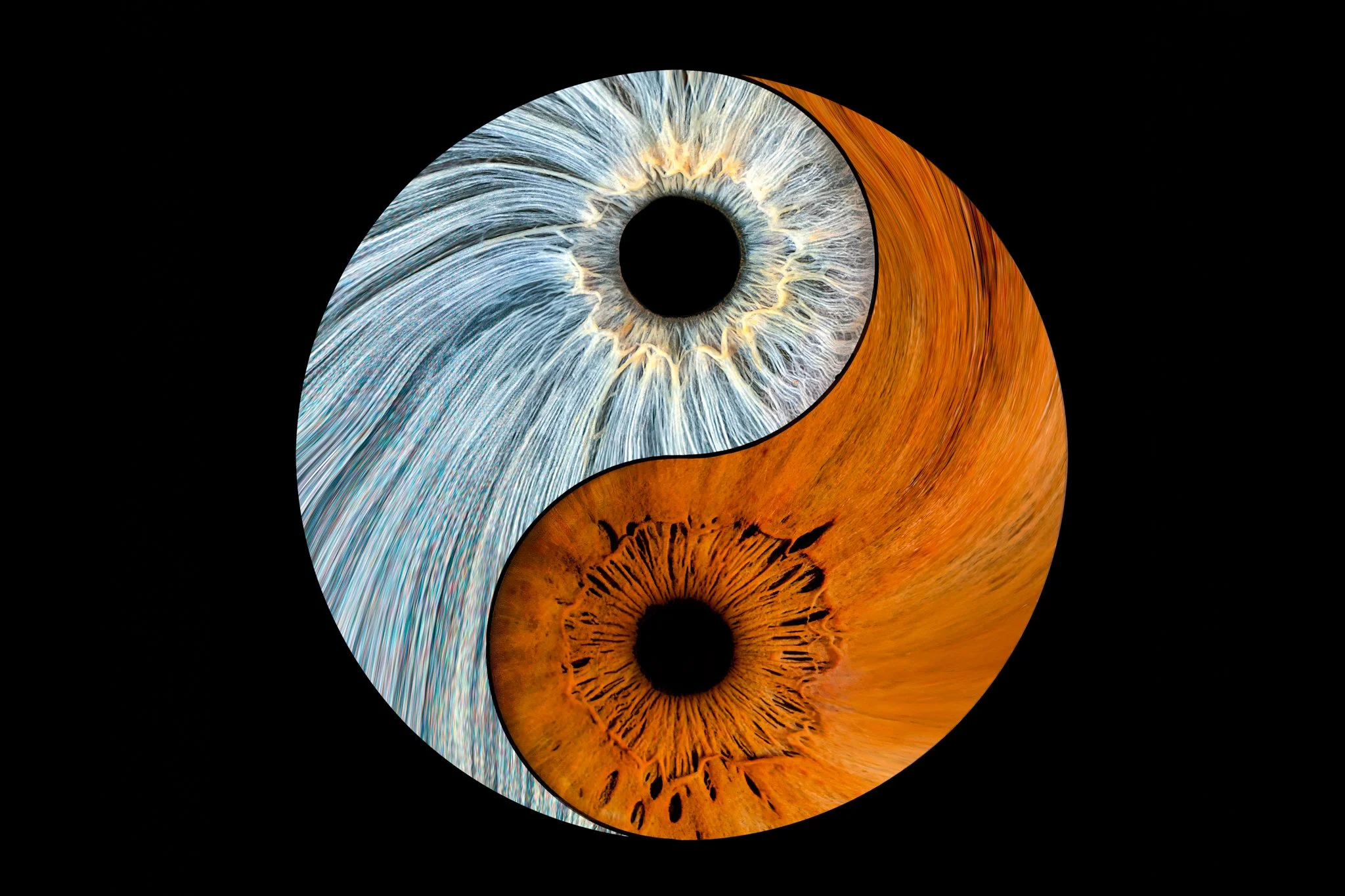 Harmonic Flow