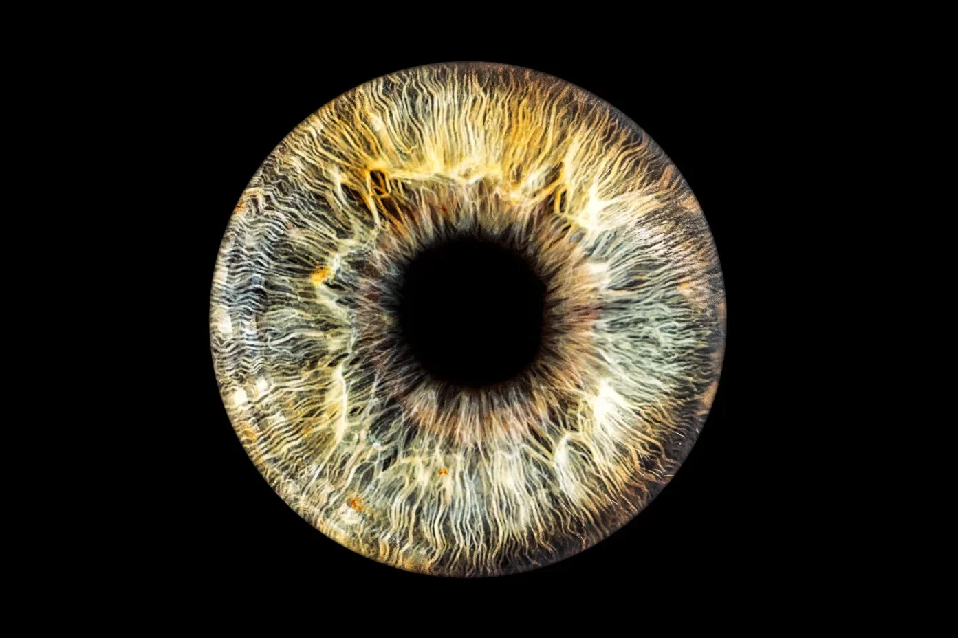 iris-portrait-olive-gold-single.webp