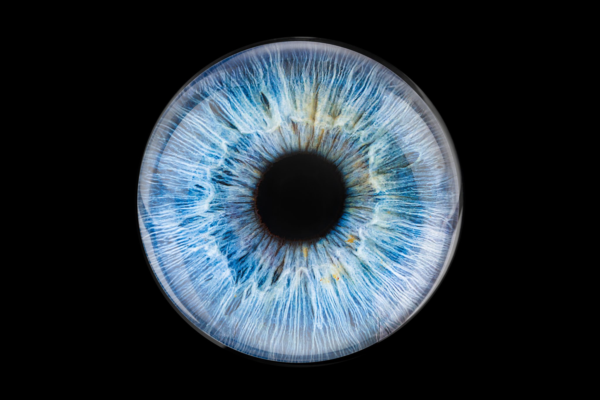 Blue-iris-with-glass-overlay.jpg