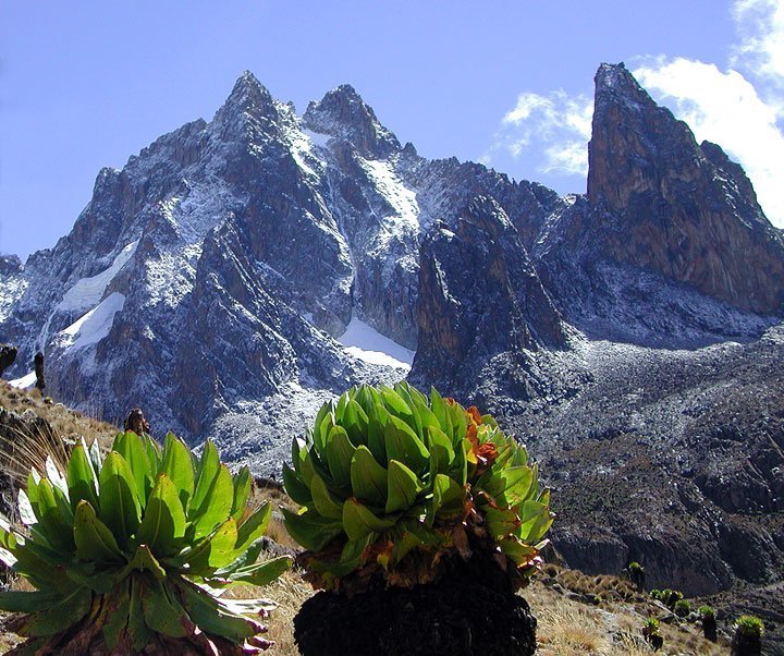 Mount Kenya