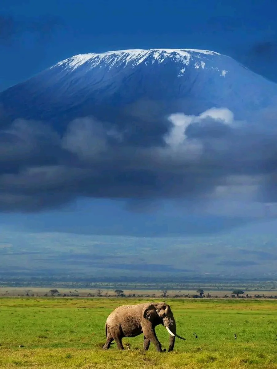 Photo of kilimanjaro