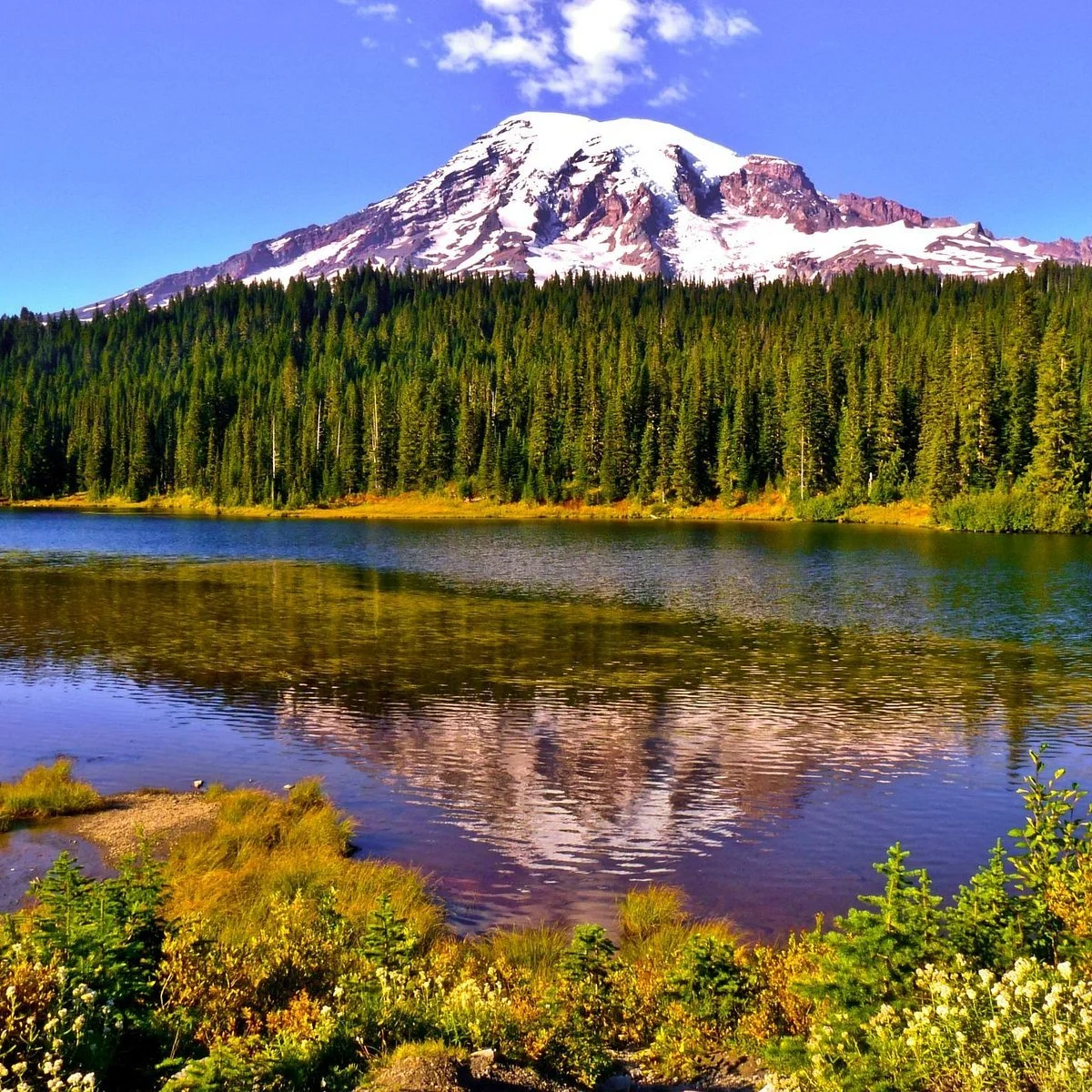 Photo of Mount Rainier