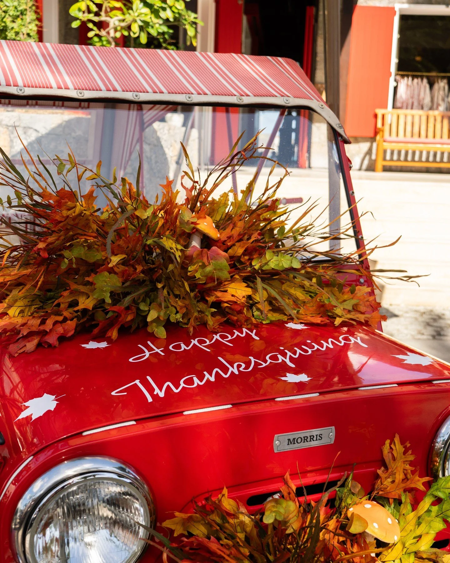 A moment to pause, celebrate, and feel grateful.
Thanksgiving at Eden Rock reminds us how lucky we are to bring your visions to life, season after season.
ㅤ
Thank you to all our clients for trusting us with your most meaningful projects.
From our tea