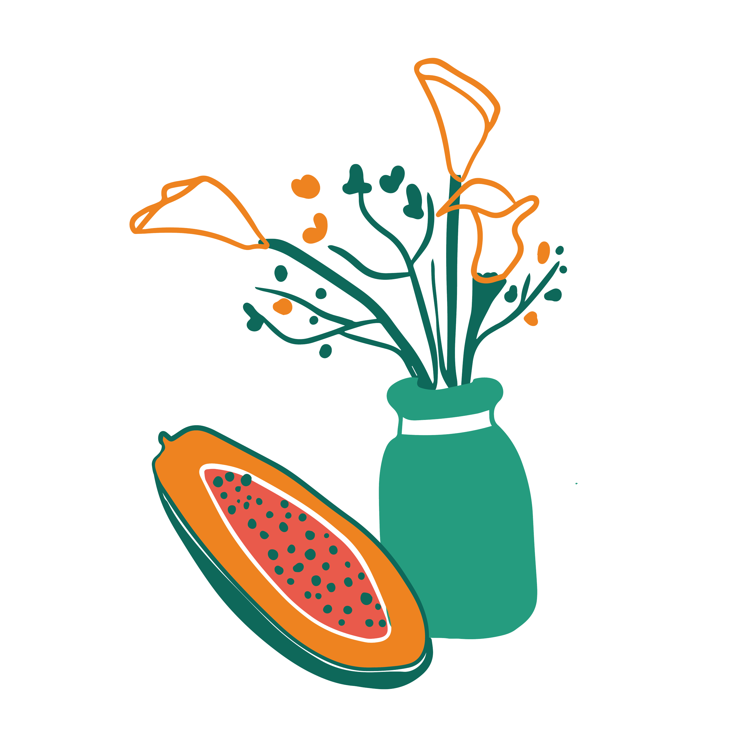 Une illustration simple d'un bouquet de fleurs dans un vase et un fruit tranché, probablement un papaye.