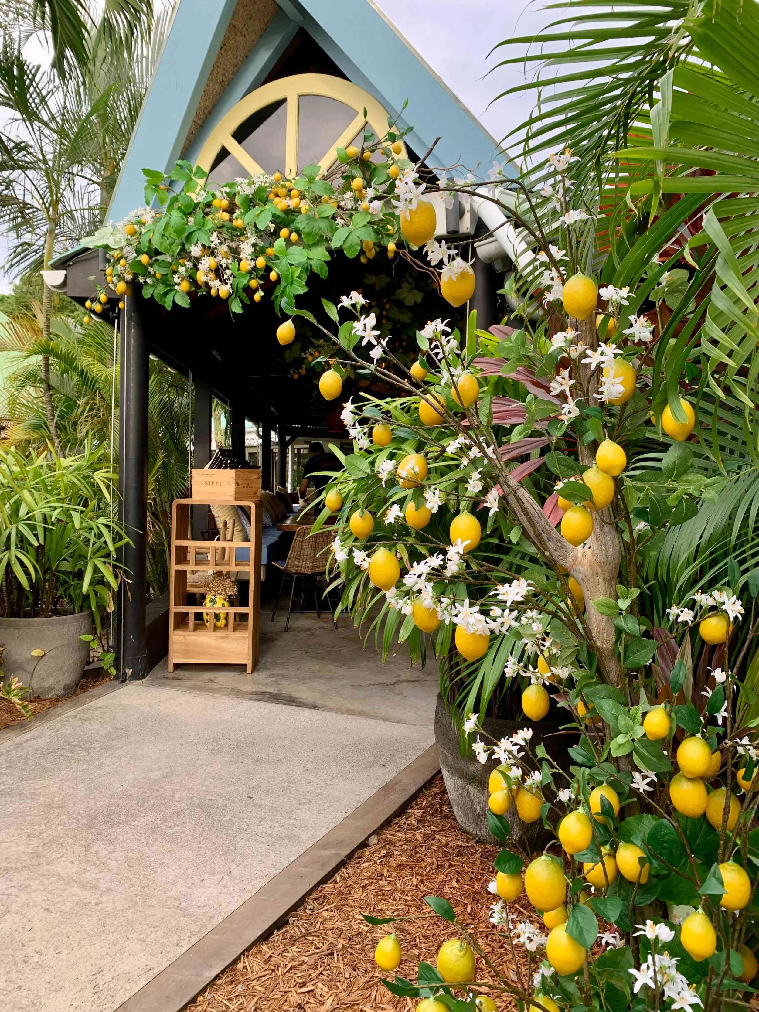 Restaurant entrance framed by white flowers and yellow lemons for a chic tropical design in St Barth.