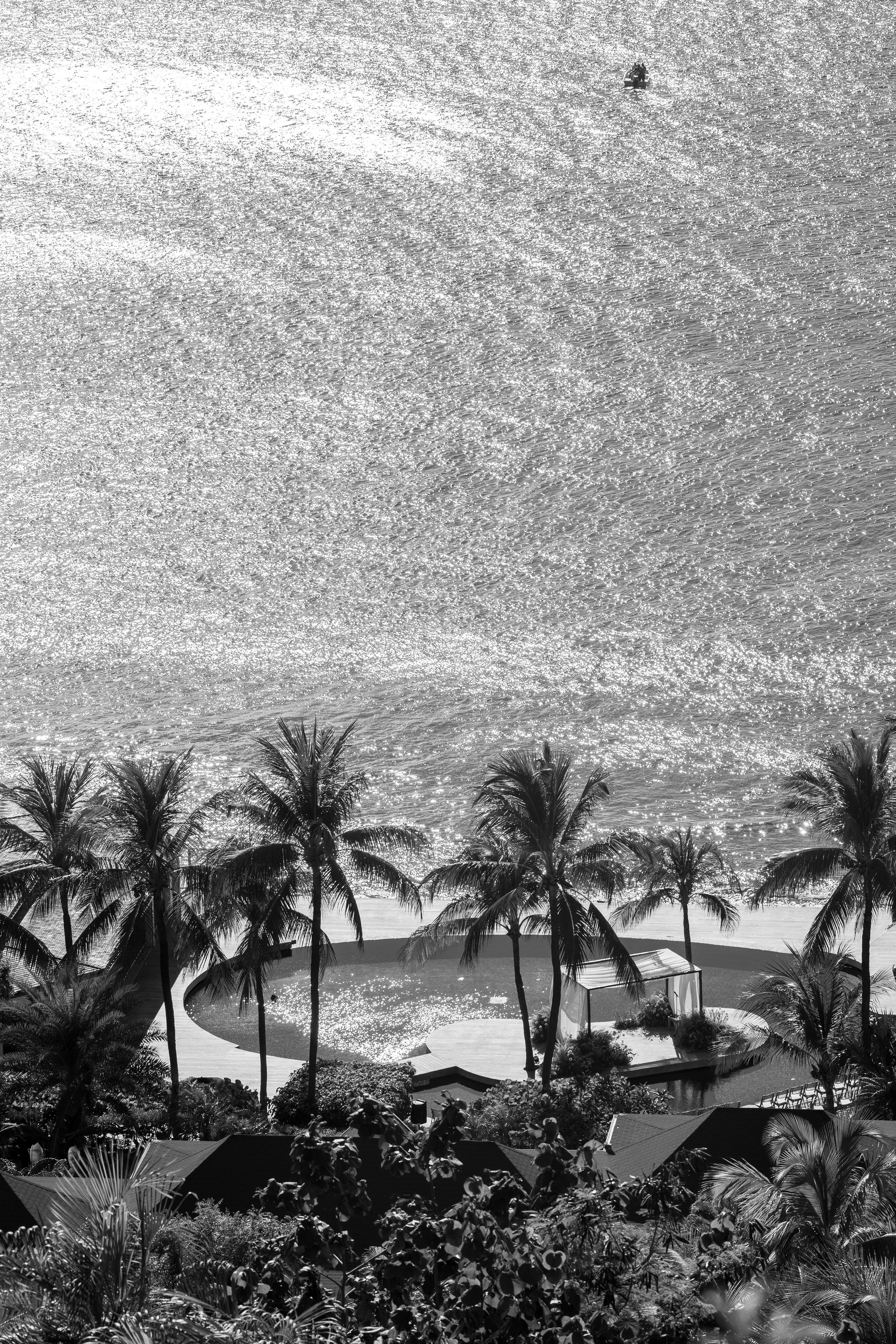 Une vue en noir et blanc d'une plage avec des palmiers en avant-plan et l'océan en arrière-plan, avec une petite structure au centre.