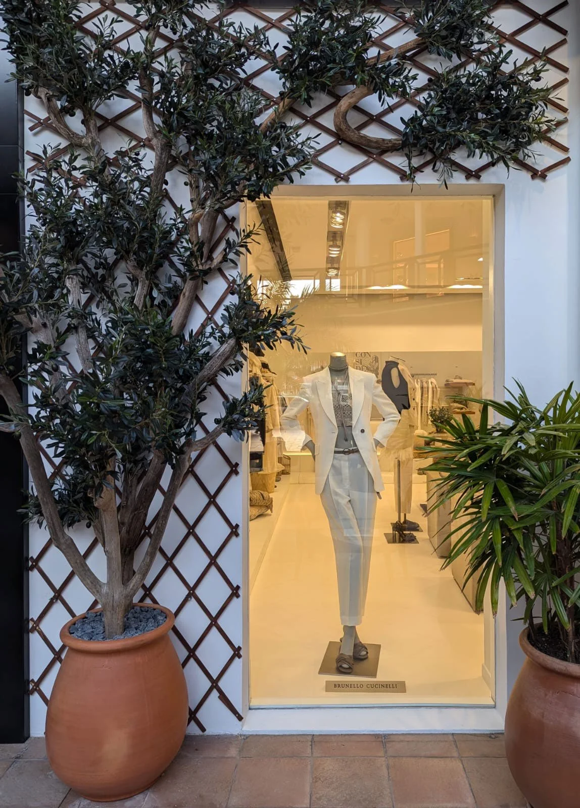 Storefront display with mannequin, tropical plants, and natural light for a stylish retail space in St Barth.
