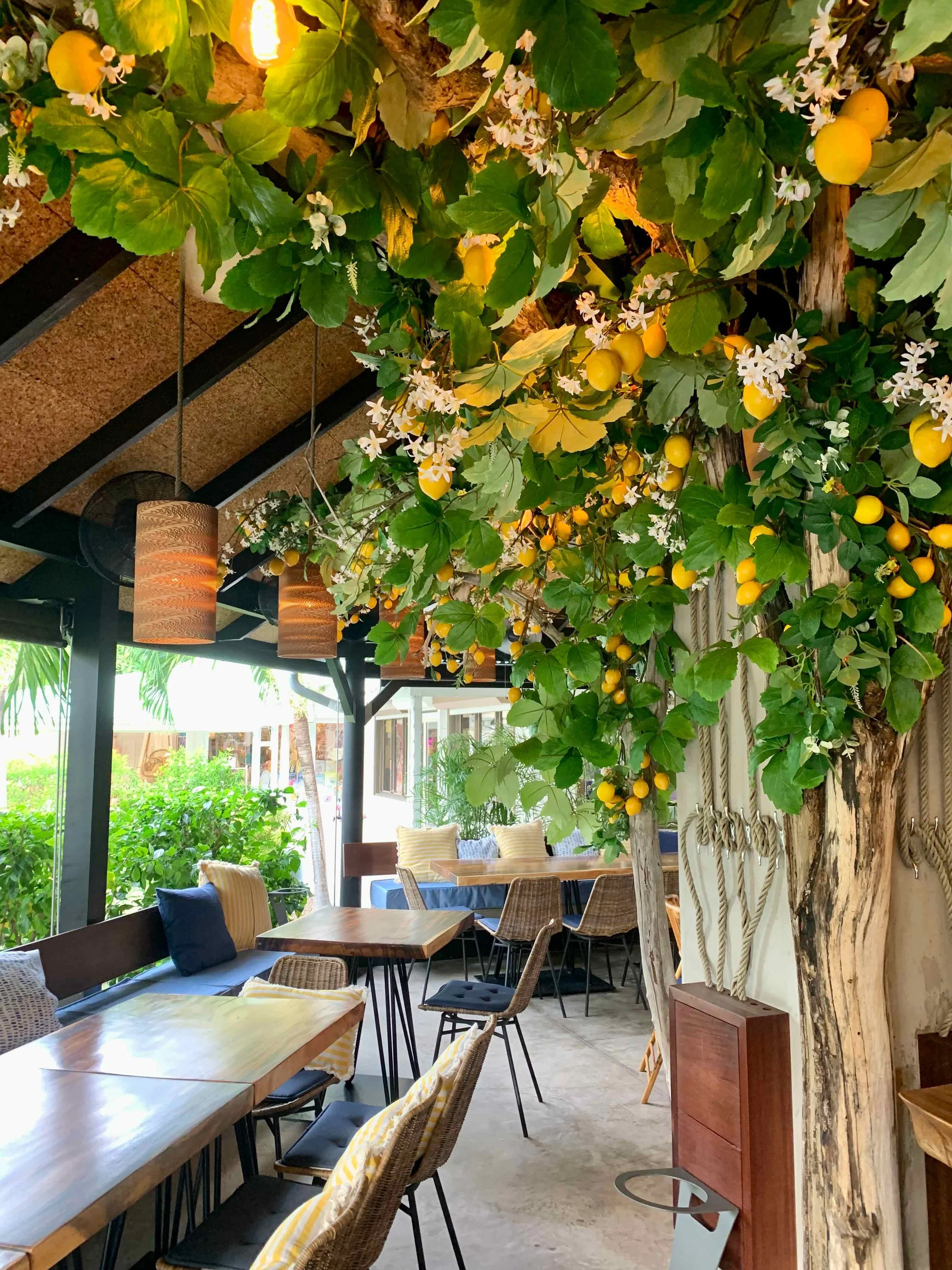 Restaurant interior featuring decorated trees, warm lighting, and tropical greenery for an elegant dining experience in St Barth.