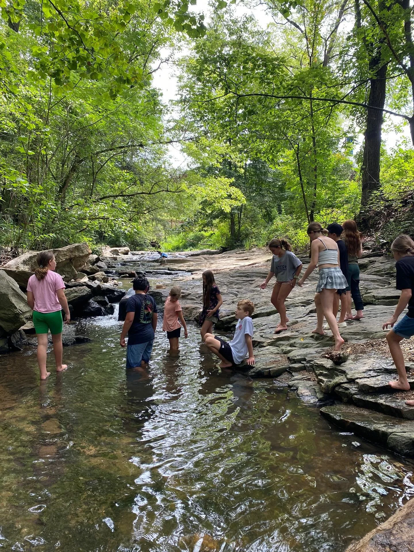middle schoolers swimming in the creek at the botanical garden surrounded by trees