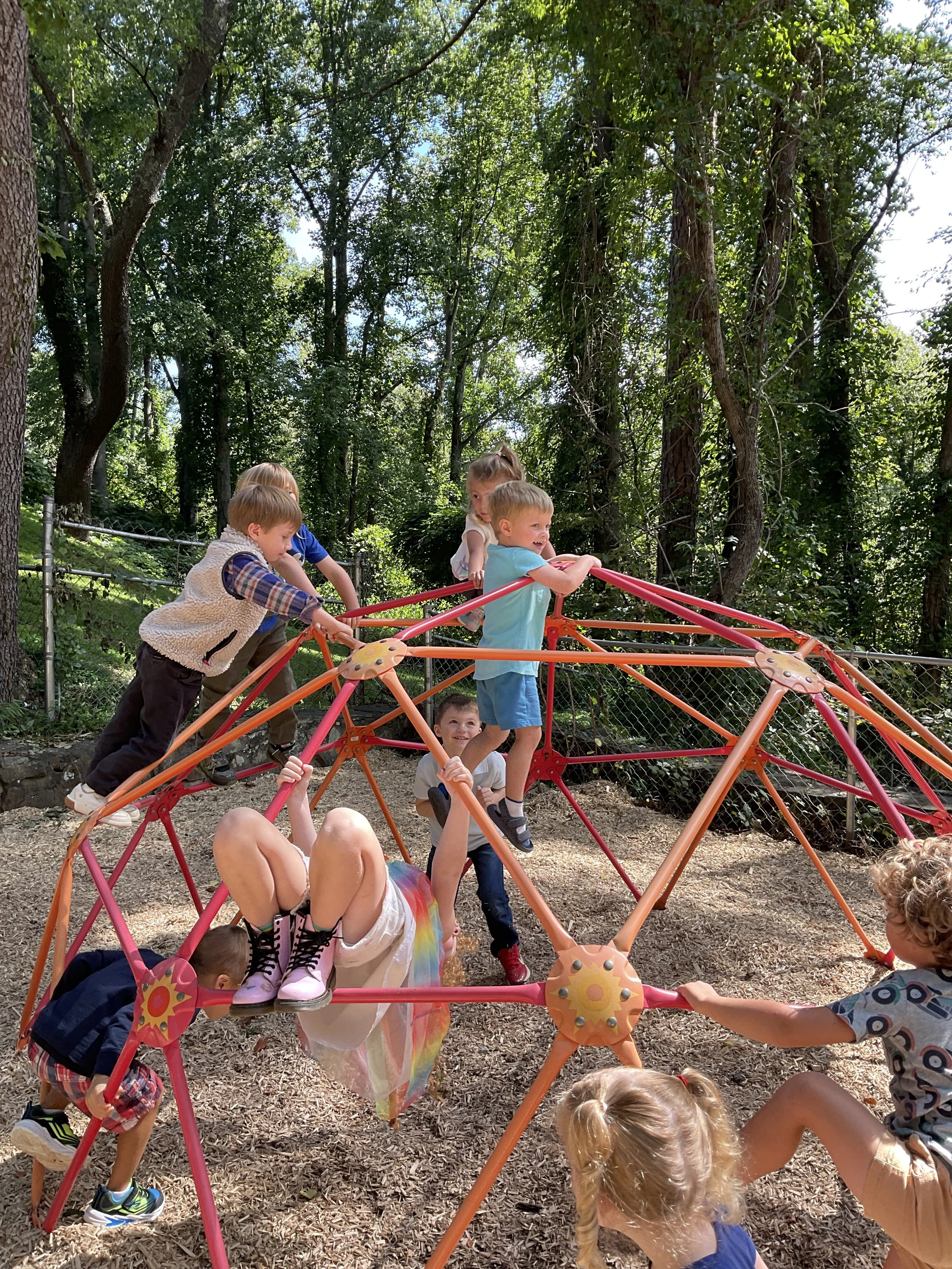 Preschool children playing on a jungle gym structure at a playground surrounded by trees.