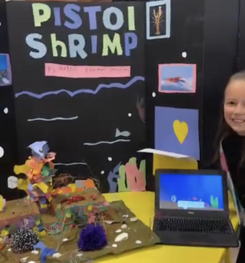 3/4 IRP Presentations