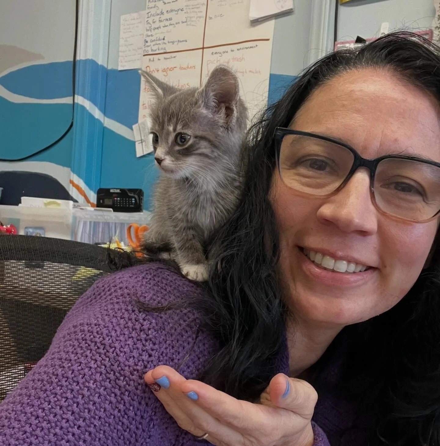 Elementary Special Guest