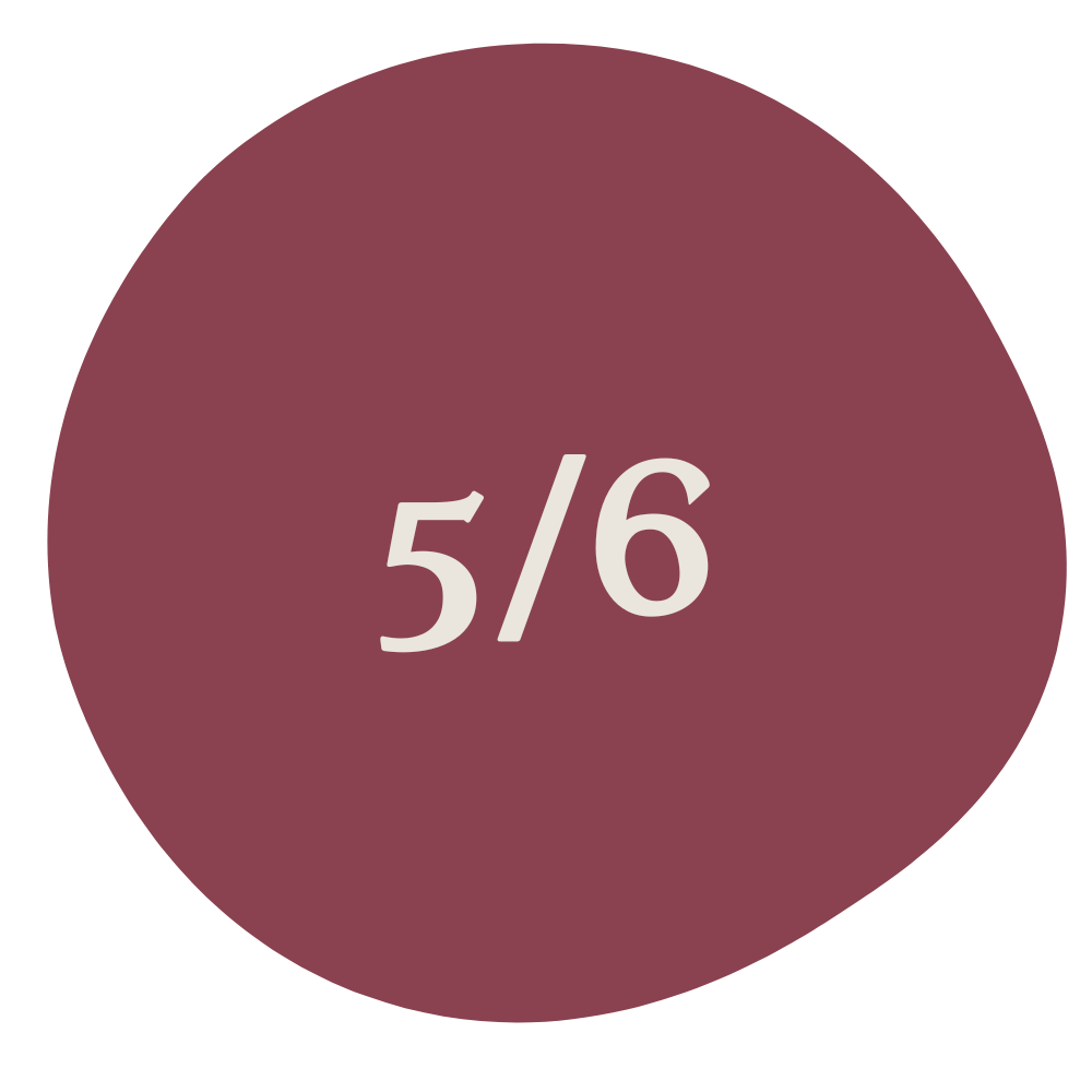 A maroon circular shape with the fraction "5/6" written in white.