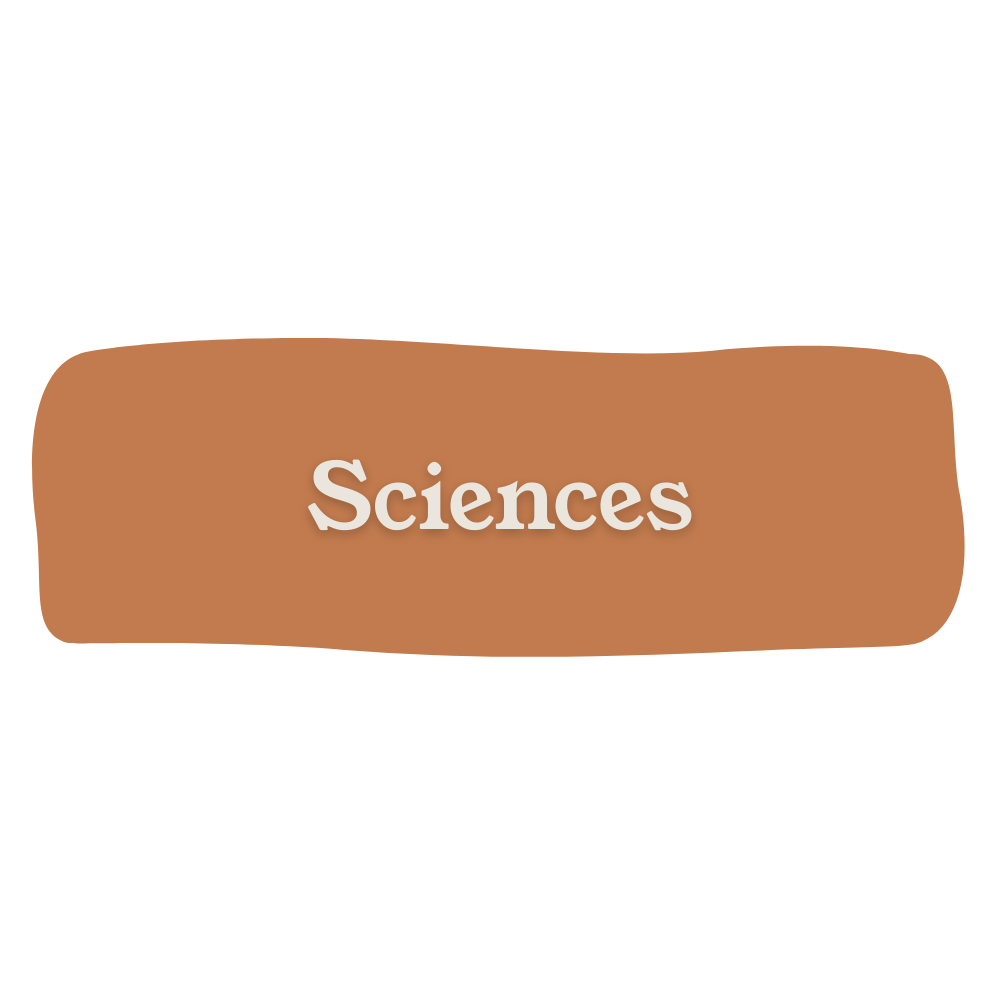 A brown sign with the word "Sciences" written on it in white text.