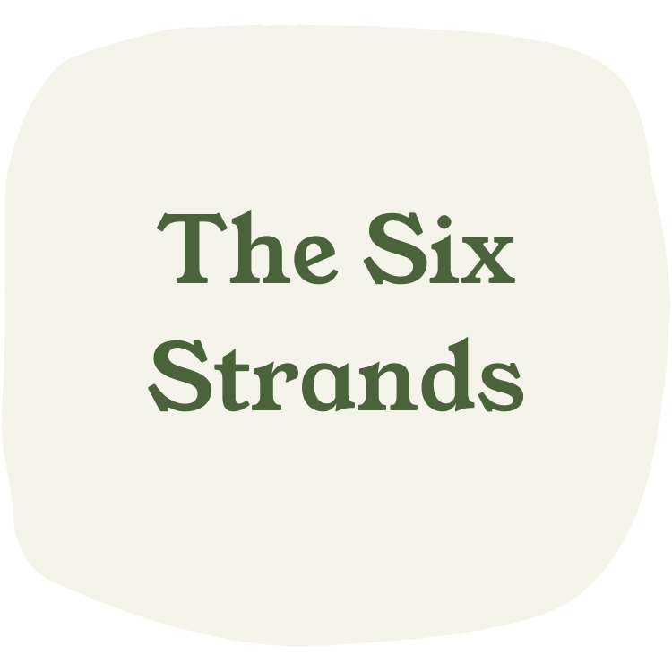 Text reading 'The Six Strands' on a white rounded square background.