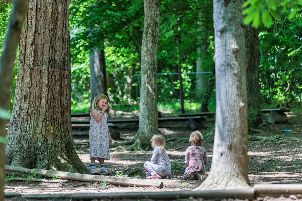 Three young girls playing in a forested area with large trees, one girl standing and talking, and two girls squatting on the ground facing her.