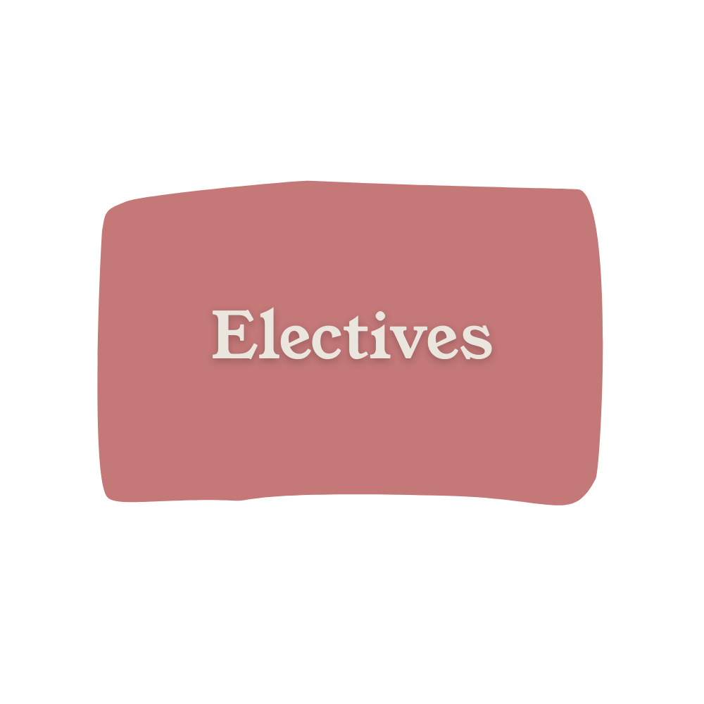 Pink educational slide with the word 'Electives' in white text
