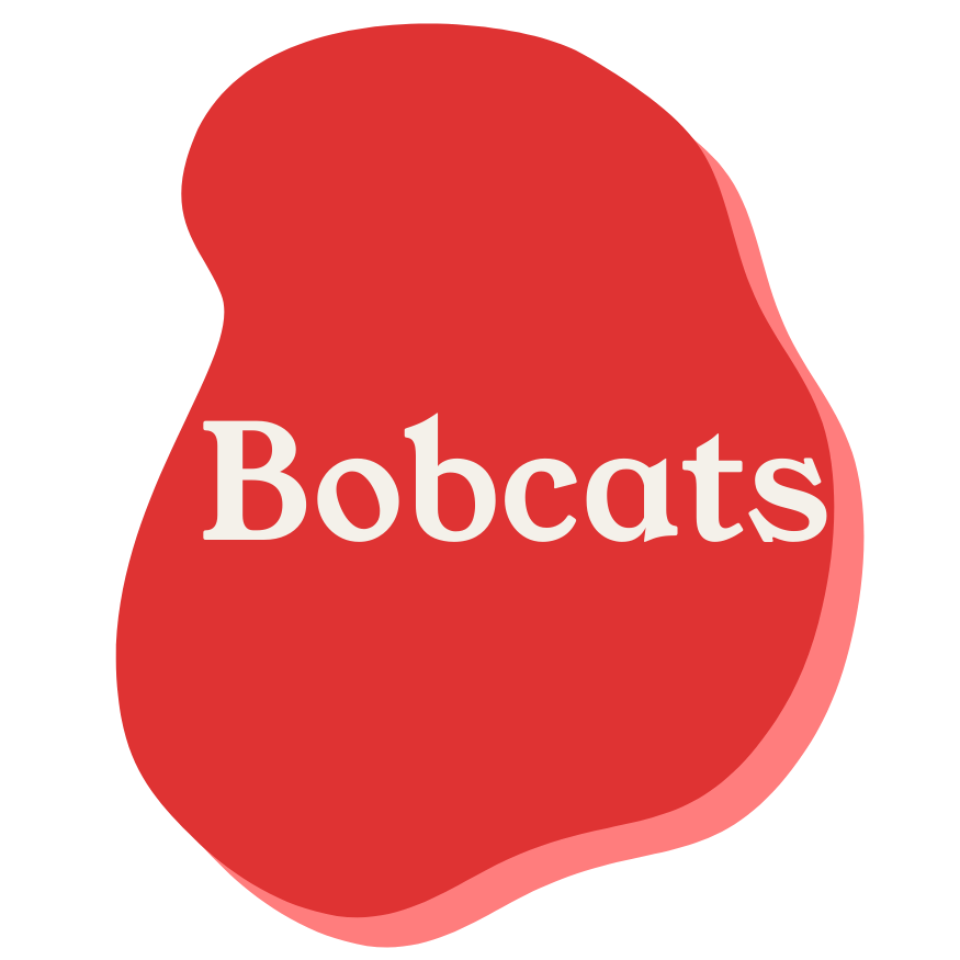 A red graphic with the word 'Bobcats' written in white text.