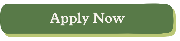 A green button with rounded edges that says 'Apply Now' in white text.