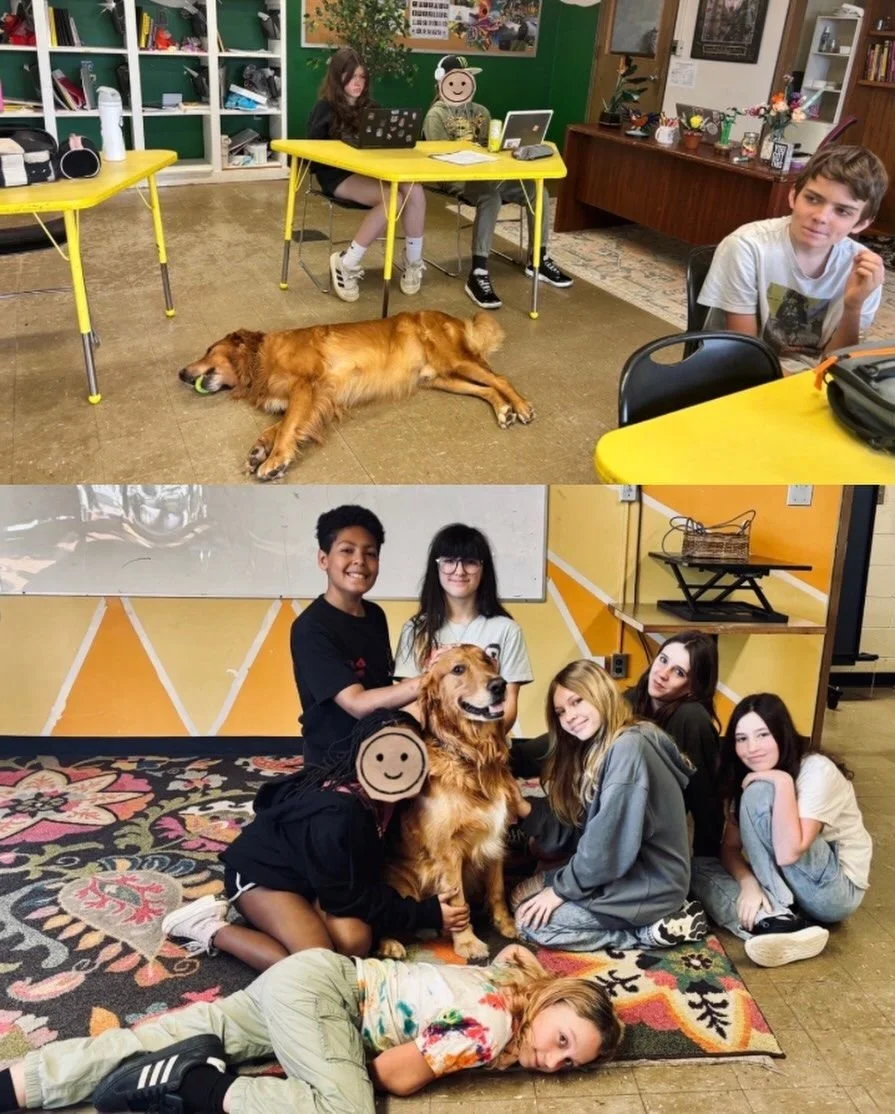 The magic of Amy Glenn's golden retriever