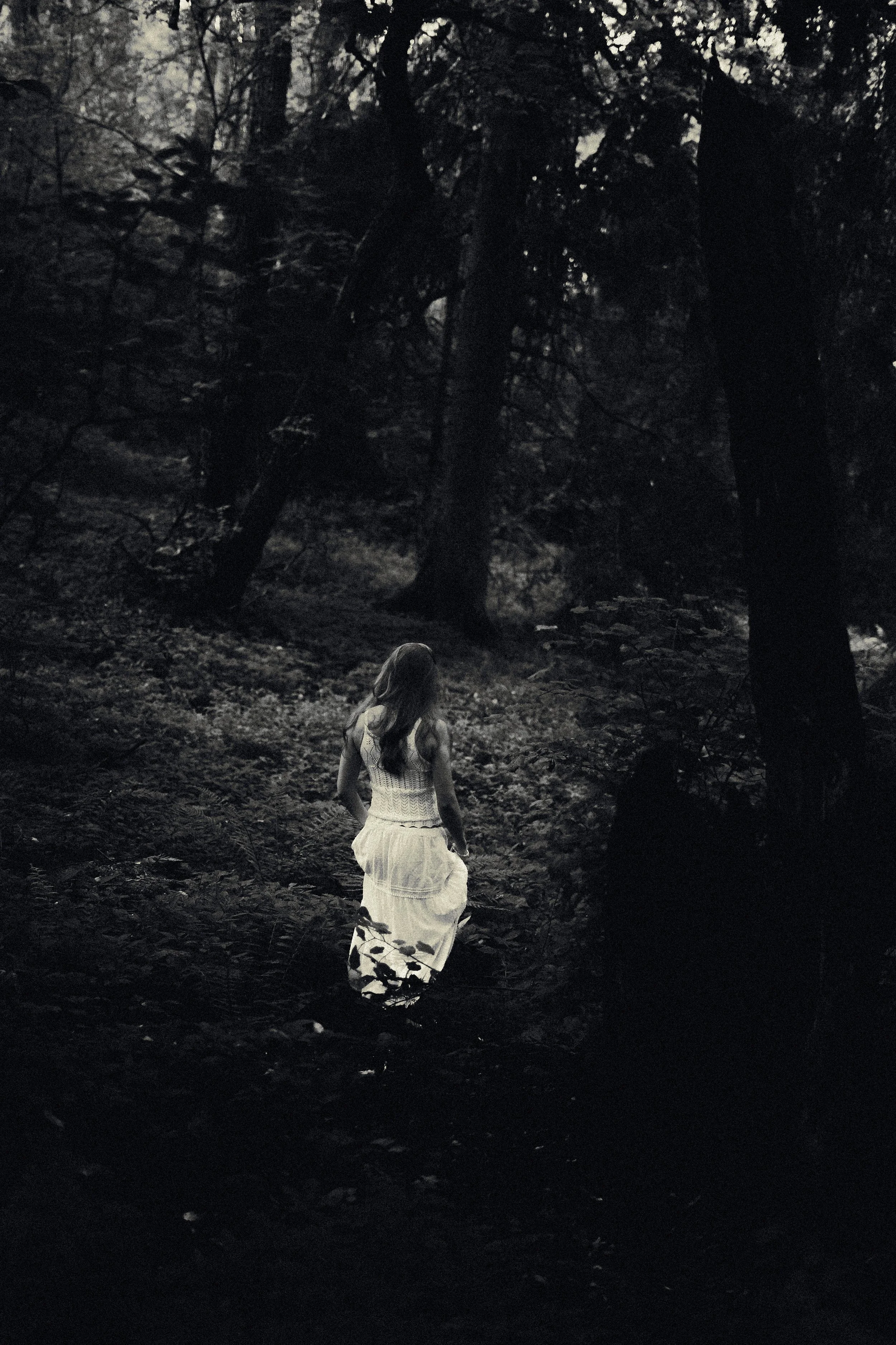 fotobytoby - The White Shadow