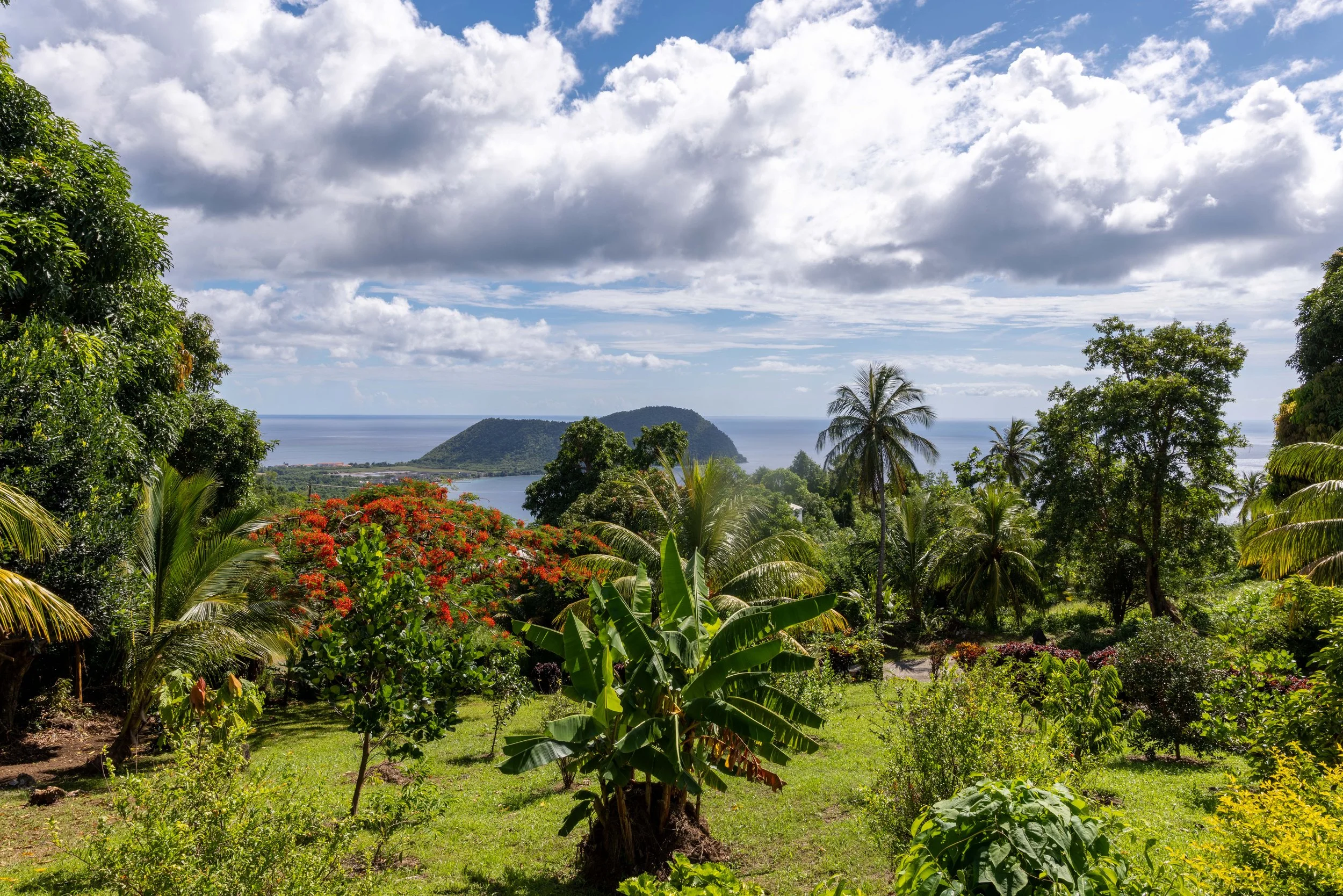 Kai-Karma-View-IMG_2373-HDR.jpg