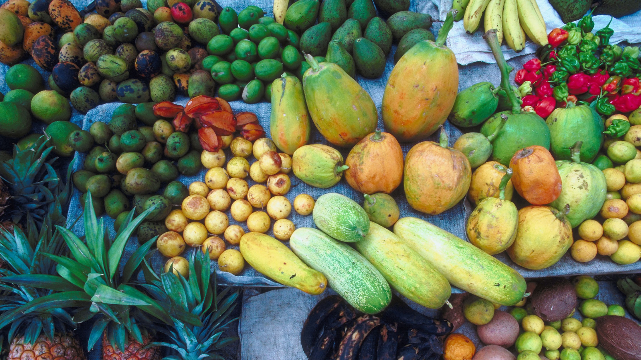 Cultural Experiences You Won’t Find Anywhere Else