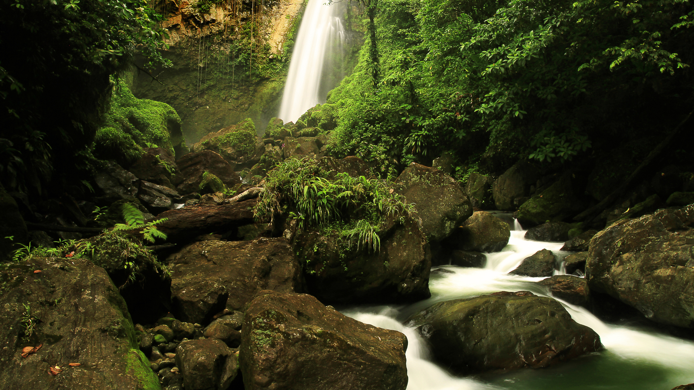 Best Waterfalls to Visit on Dominica