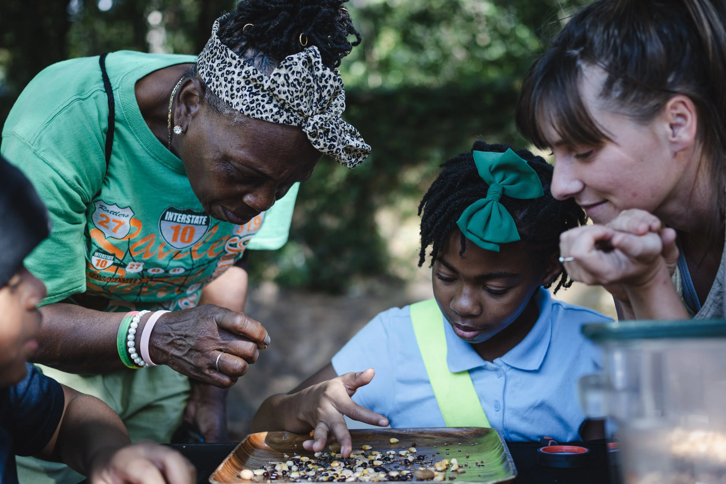 2 adults and 1 young person look down onto a tray of seeds