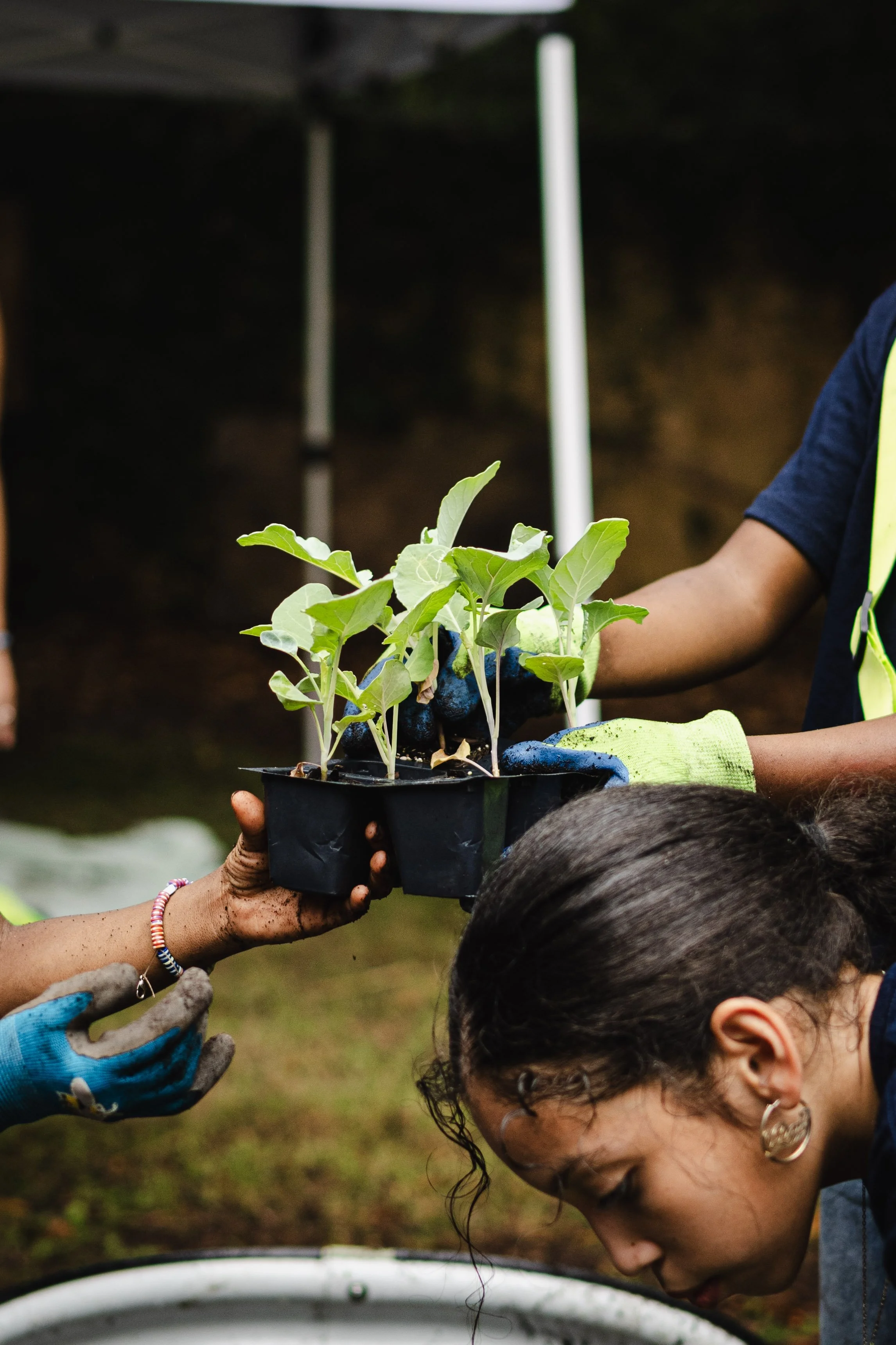 Process of Reflection